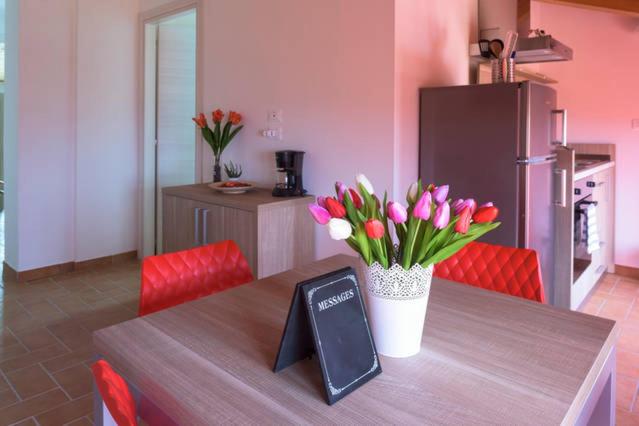 Penthouse Apartment photo 2