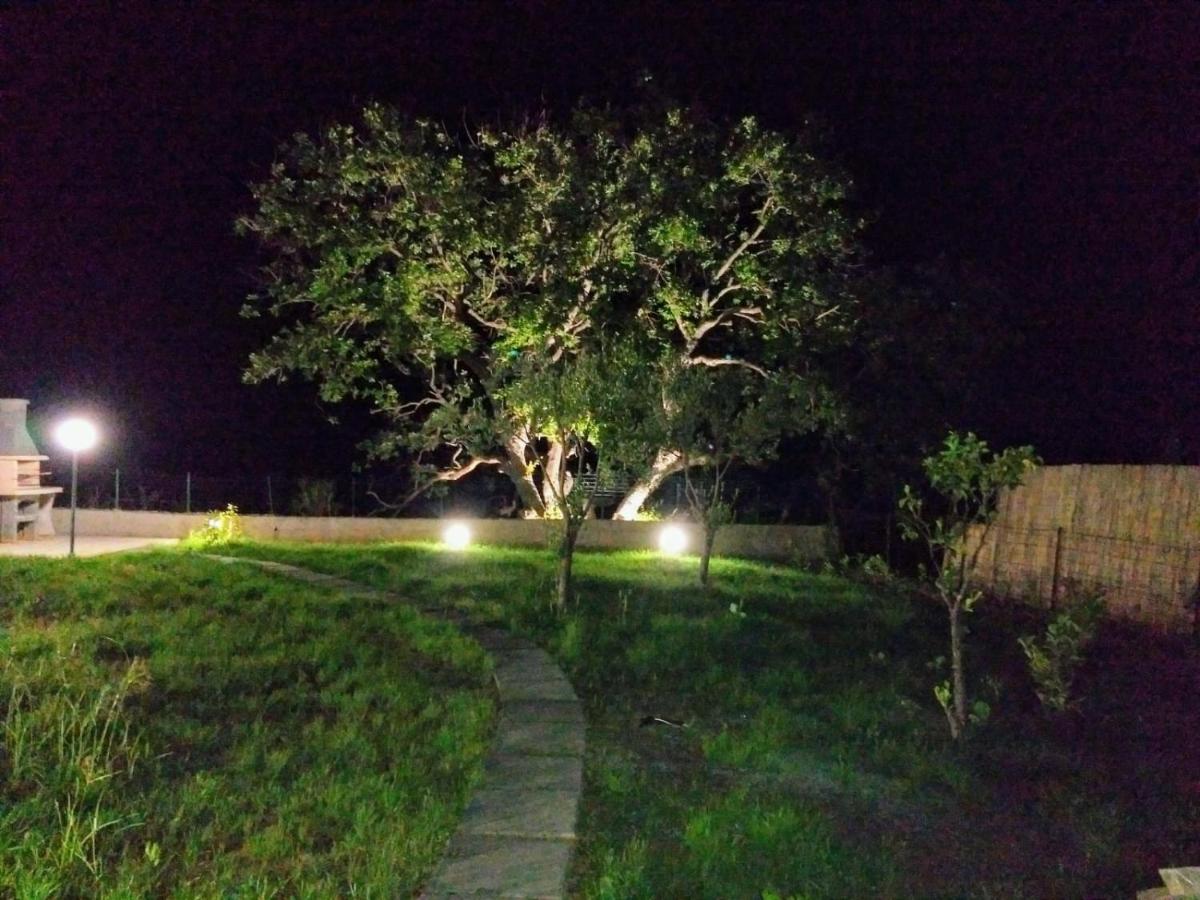 Holiday Home photo 1