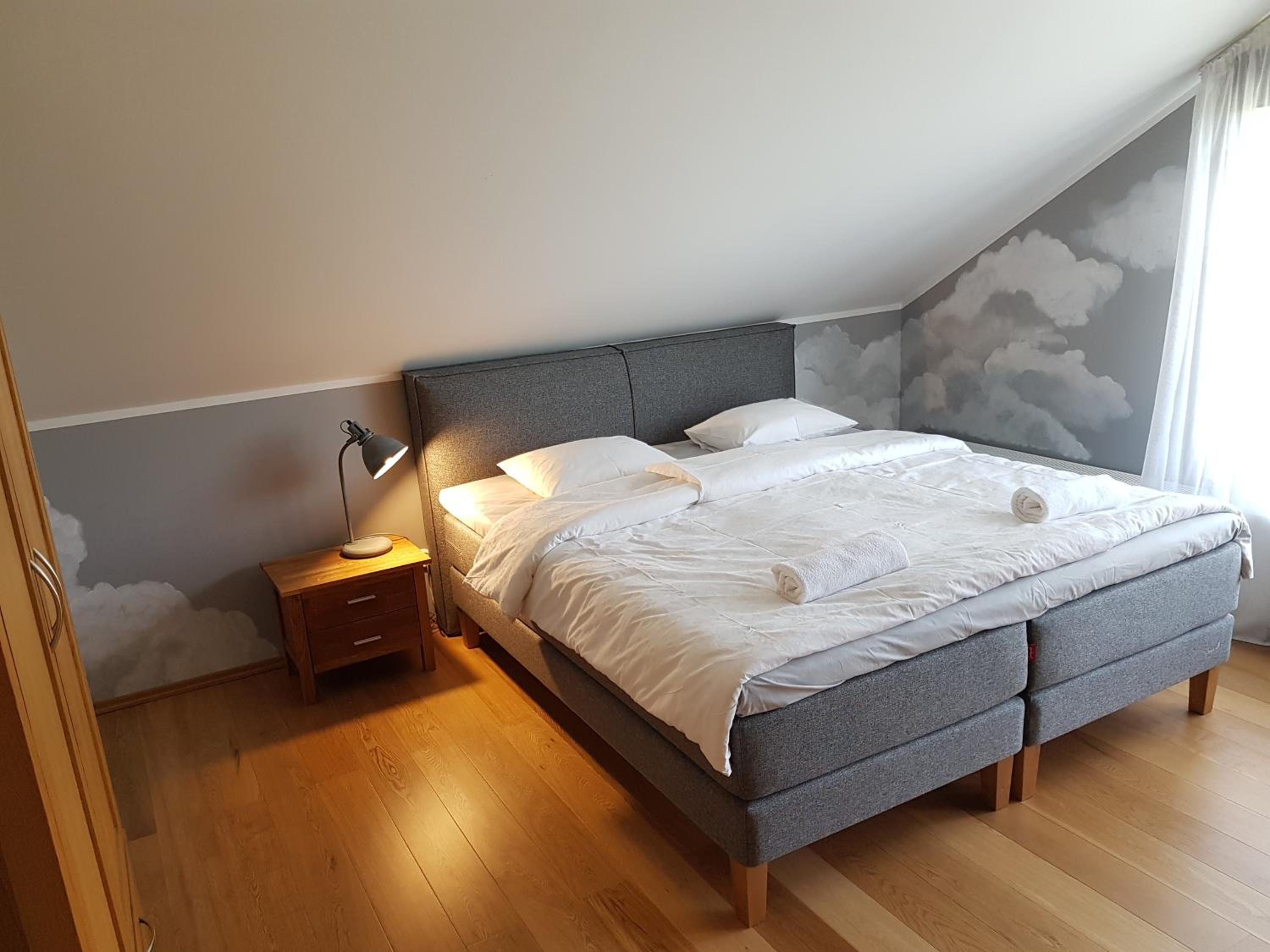 Deluxe Double or Twin Room photo 1