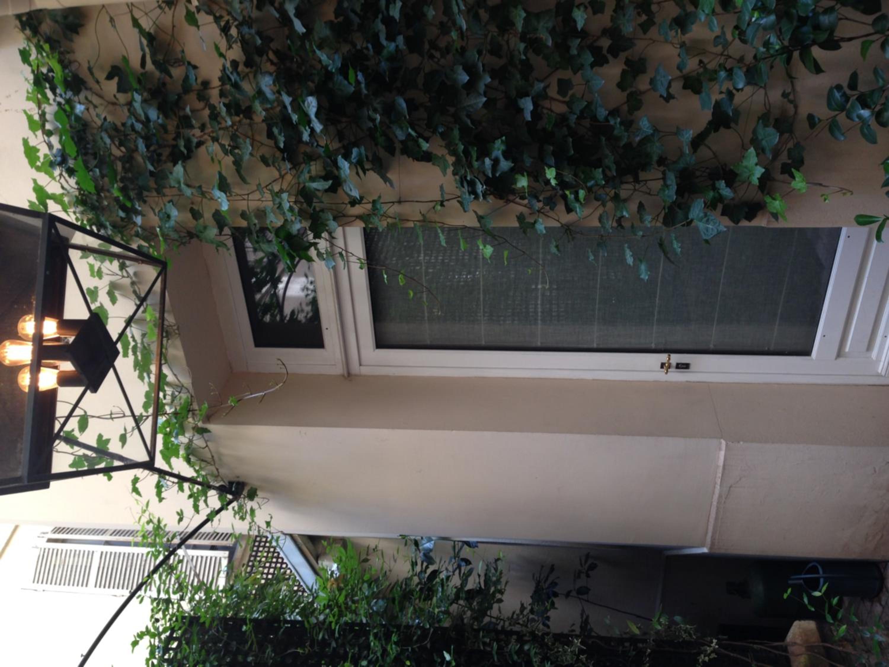 Single Room - Disability Access - Ground Floor photo 3