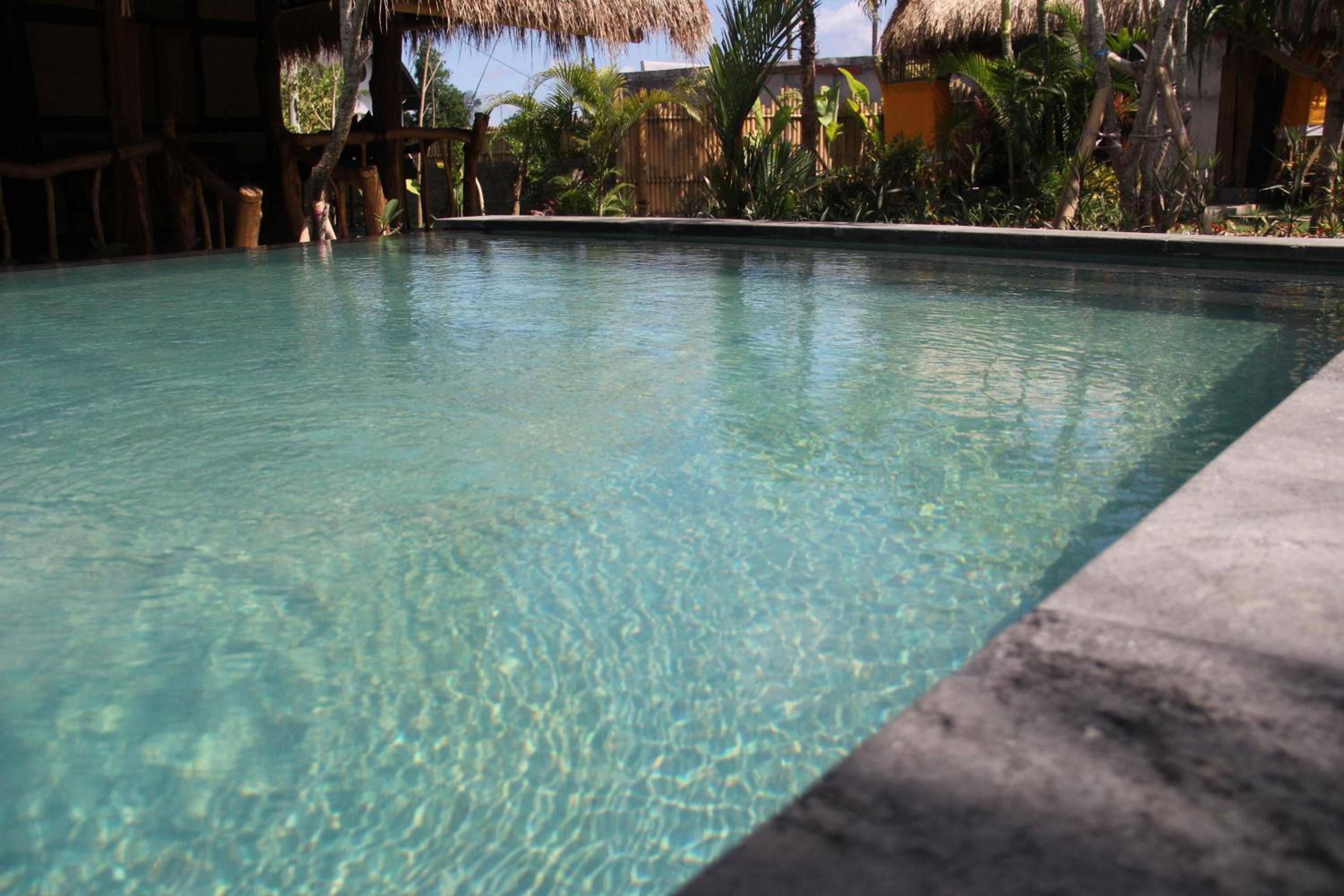 Family Bungalow ( 6 Adult ) photo 2