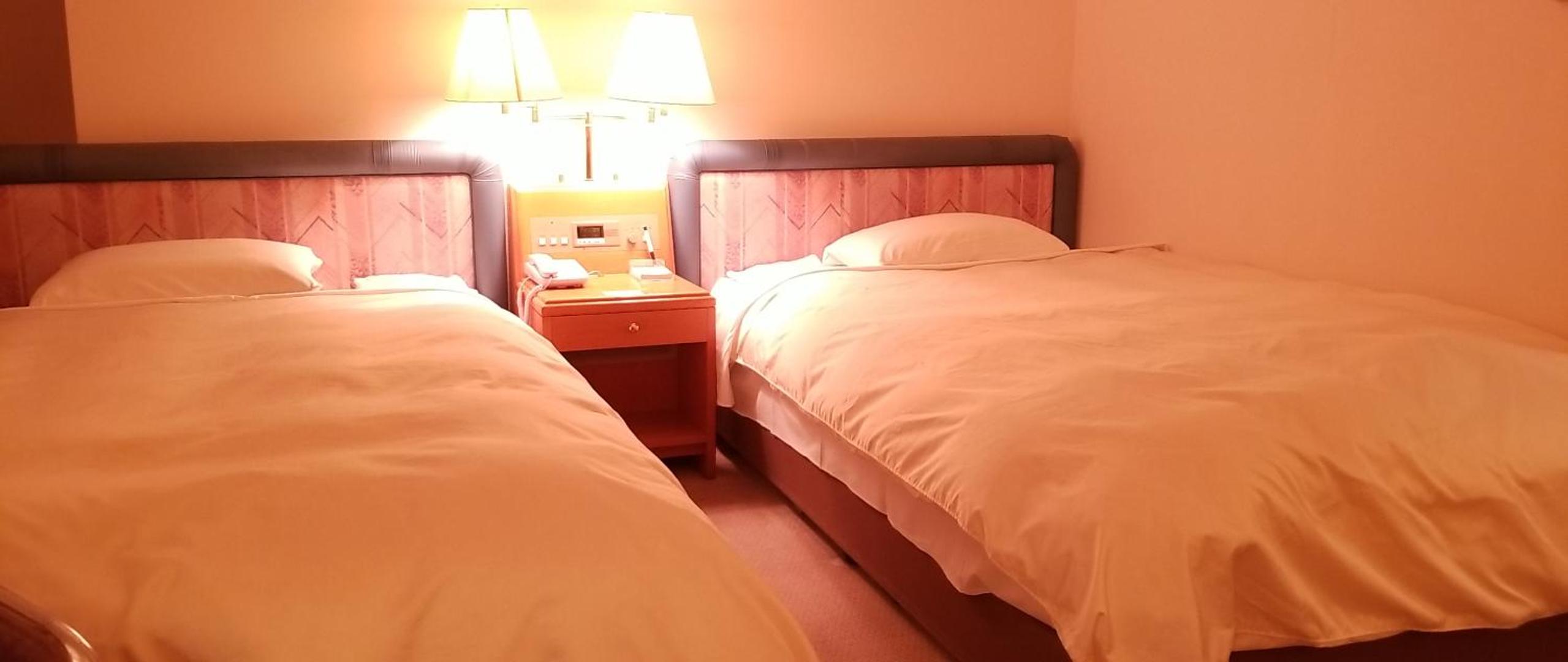 Deluxe Twin Room - Non-Smoking photo 2