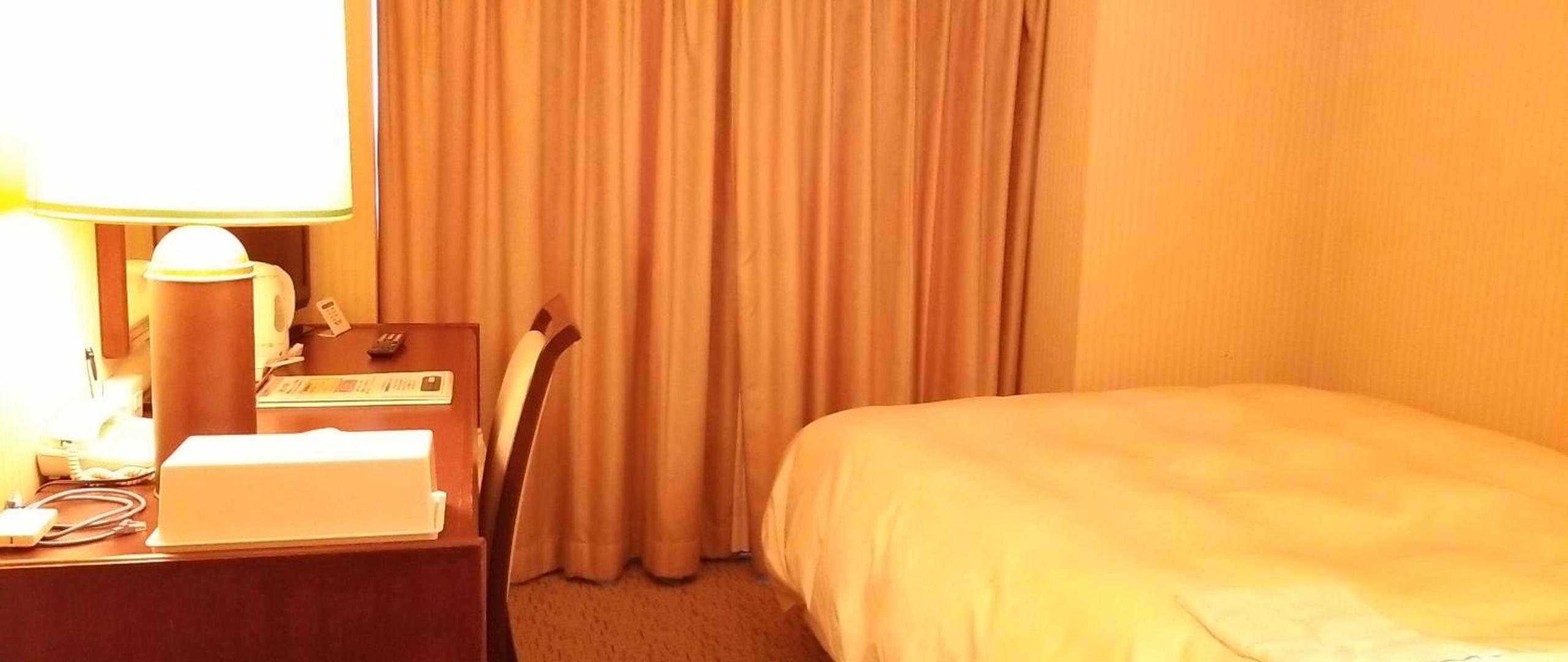 Single Room - Smoking photo 3