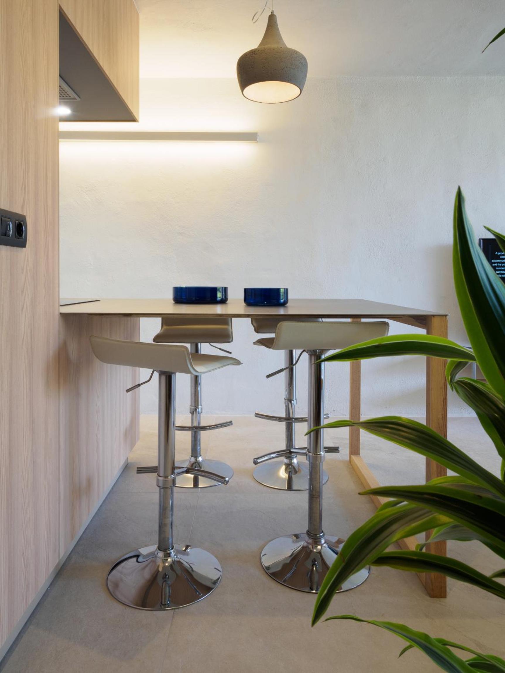 Duplex Apartment photo 3