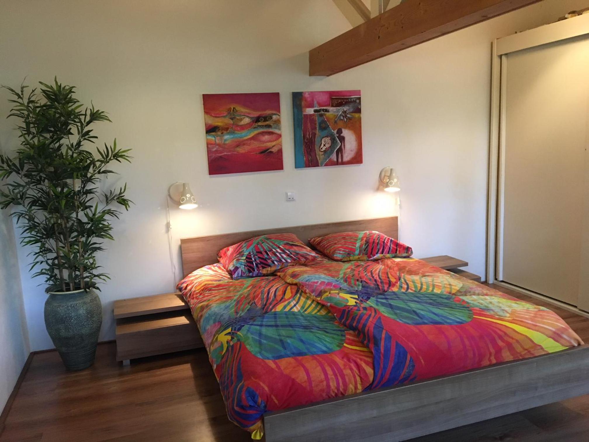 One-Bedroom House photo 1