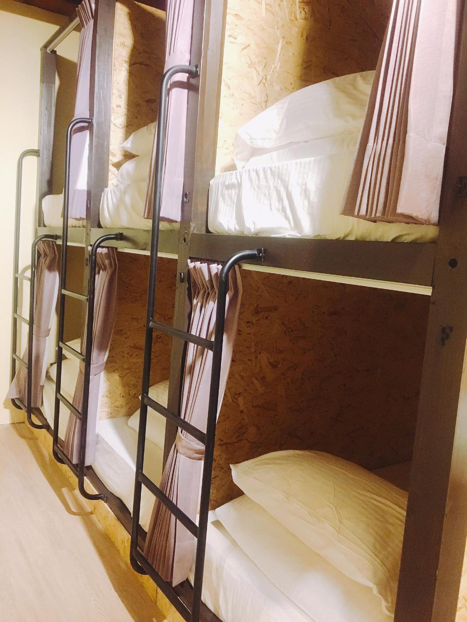 Bunk Bed in Male Dormitory Room  photo 1