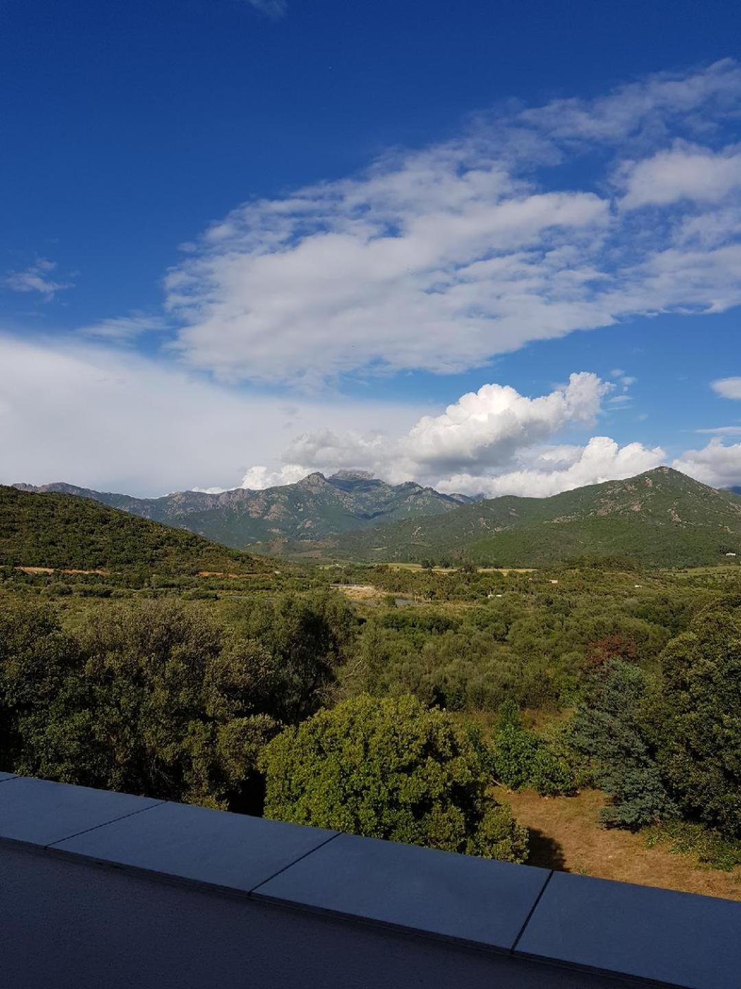 Double Room with Mountain View photo 3