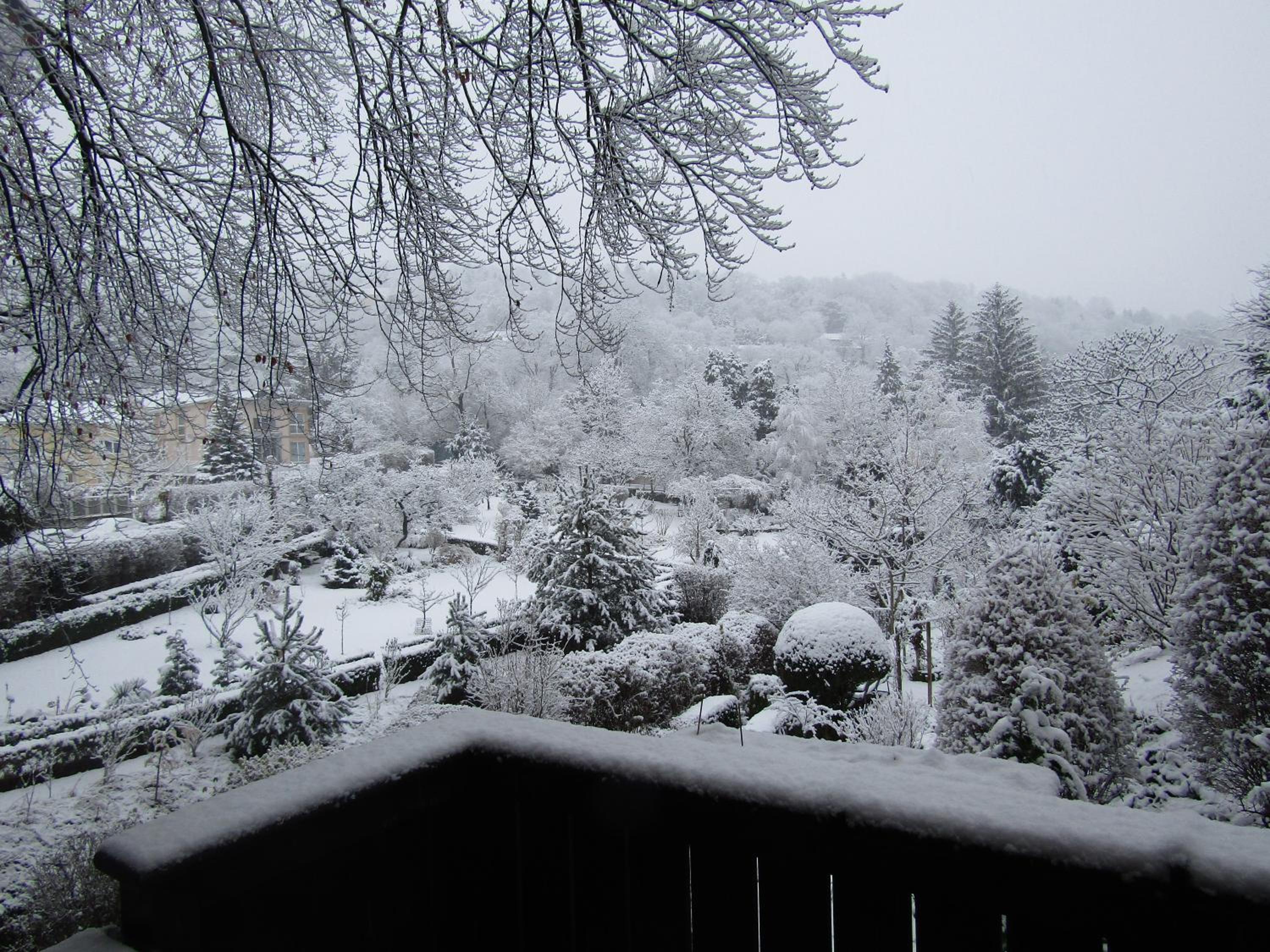 Suite with Terrace photo 2