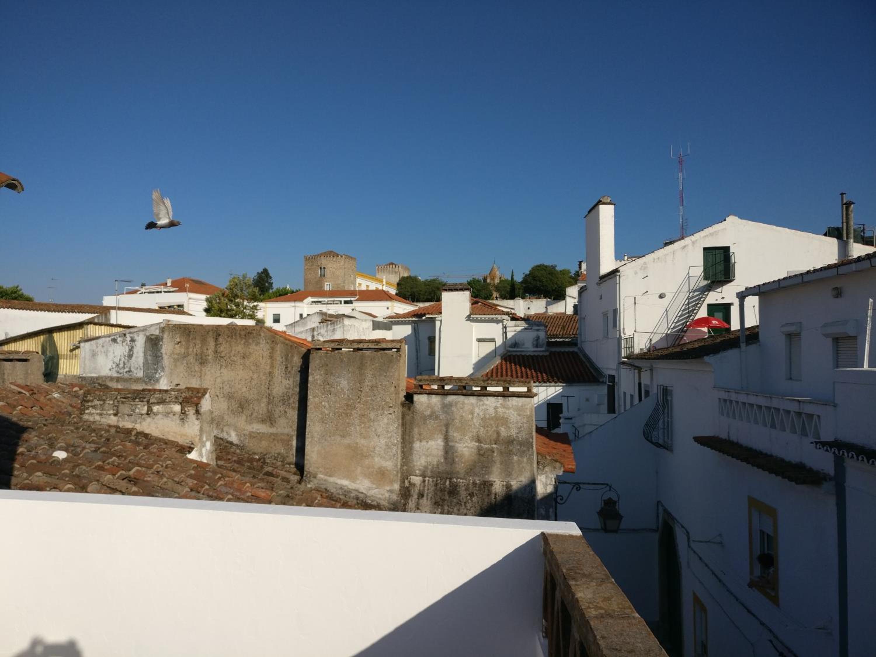 Apartment with Terrace - Photo 9