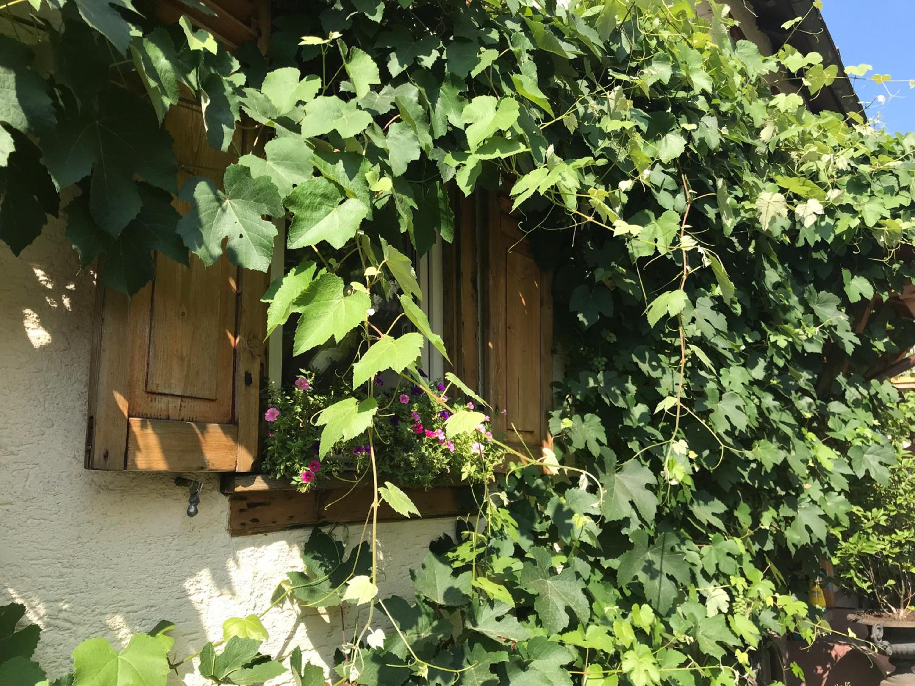 Double Room with Private External Bathroom - Photo 9