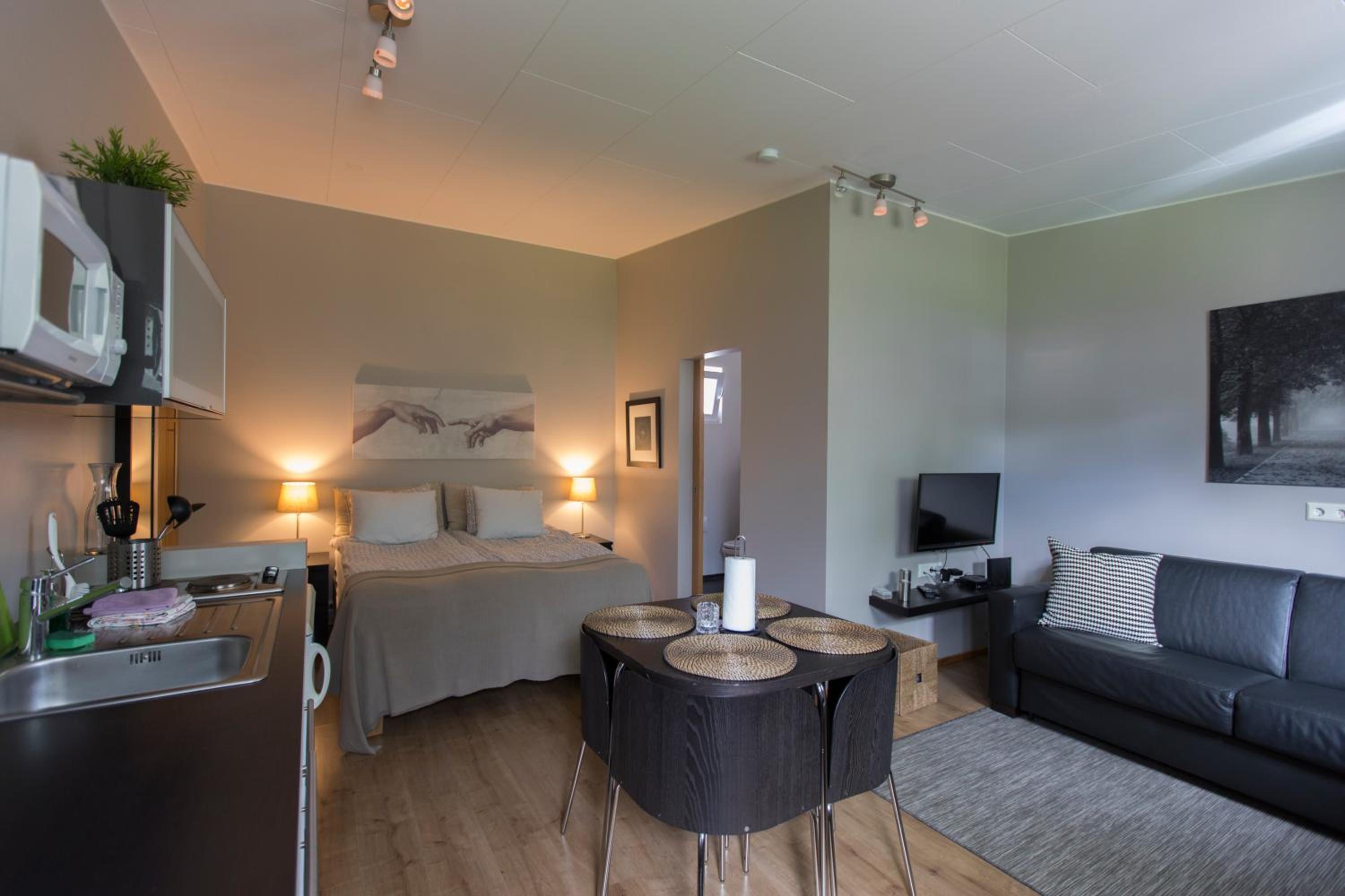 Studio Apartment photo 2