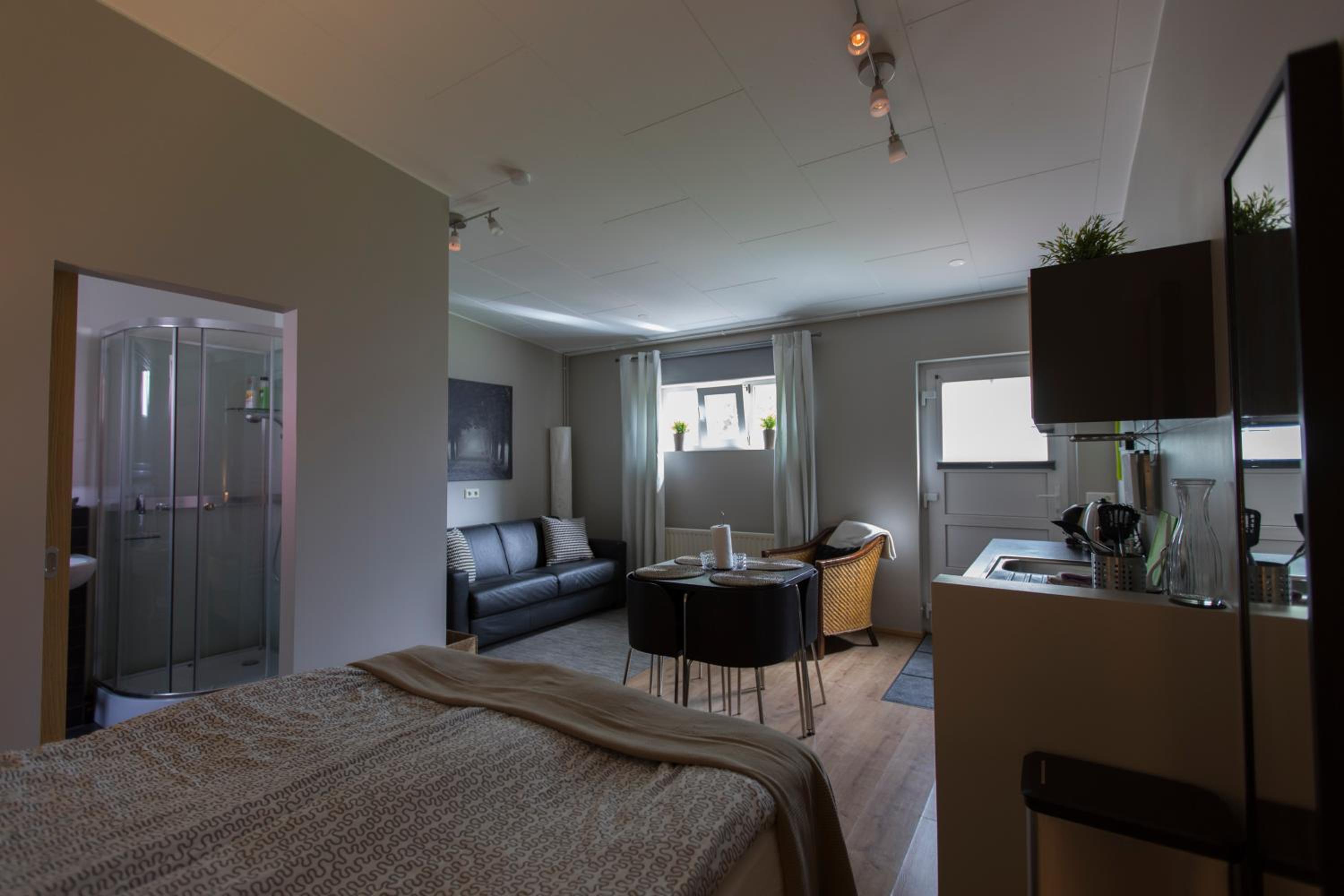 Studio Apartment photo 3