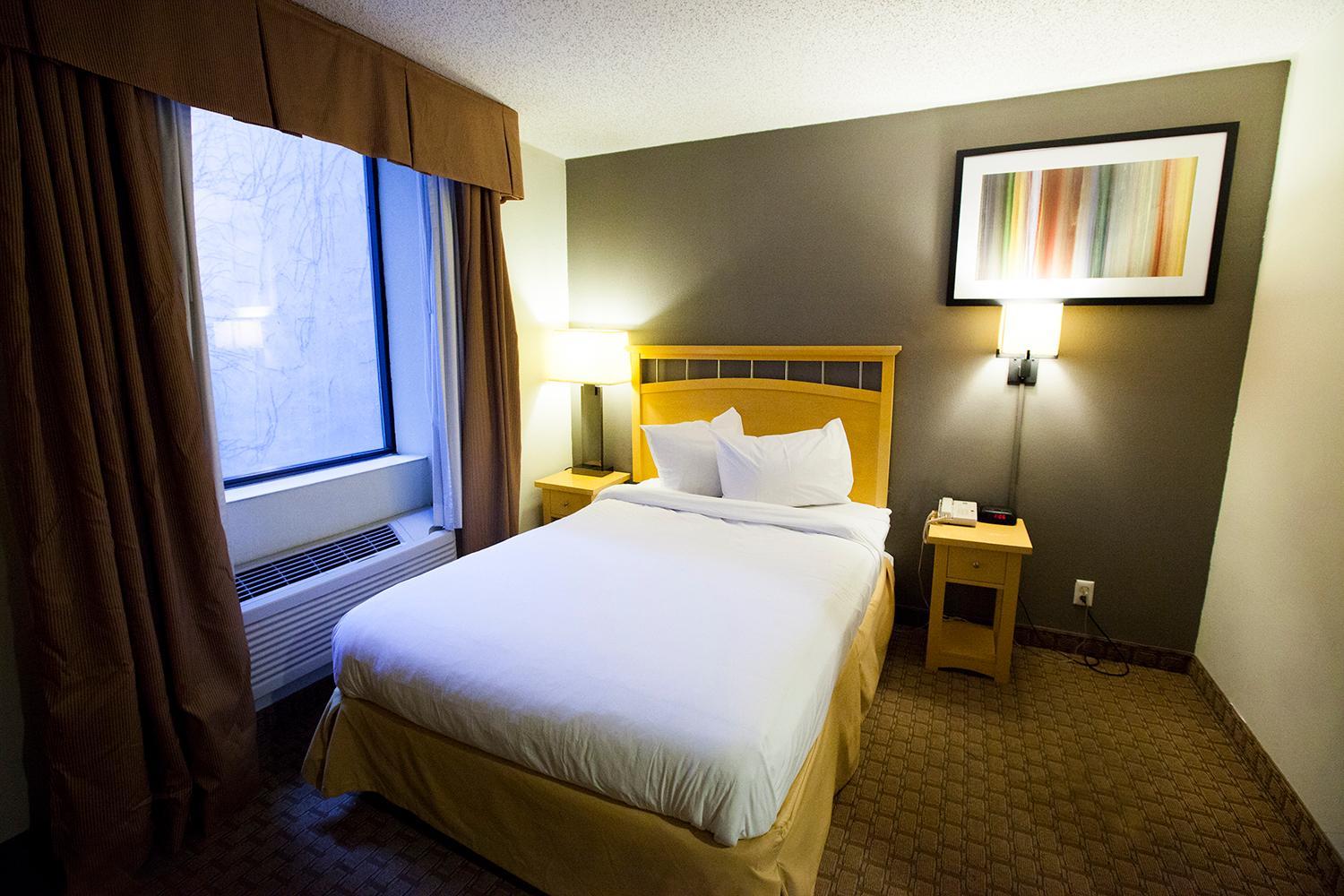 Single Room photo 1
