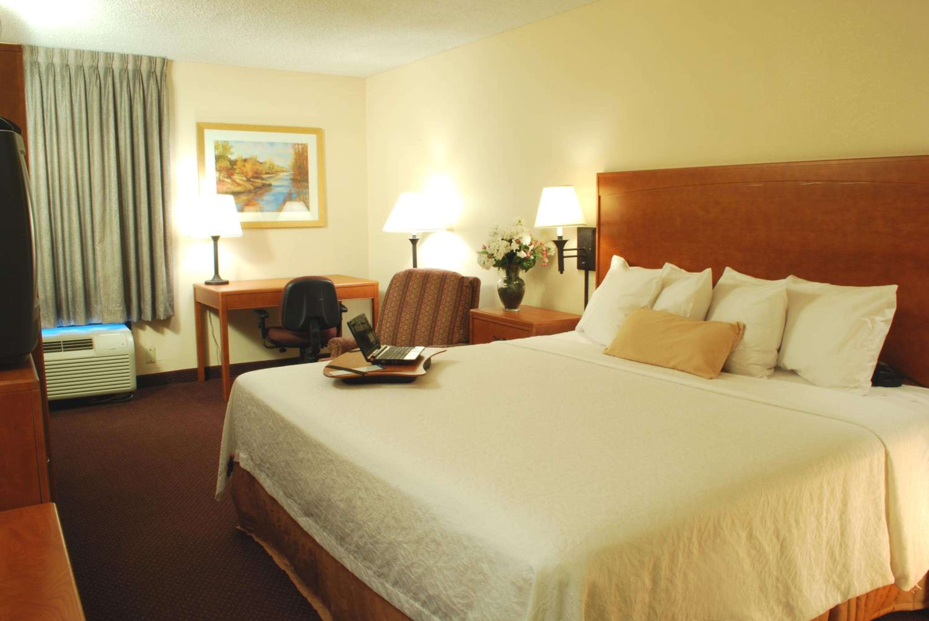 King Room with Refrigerator - Photo 7