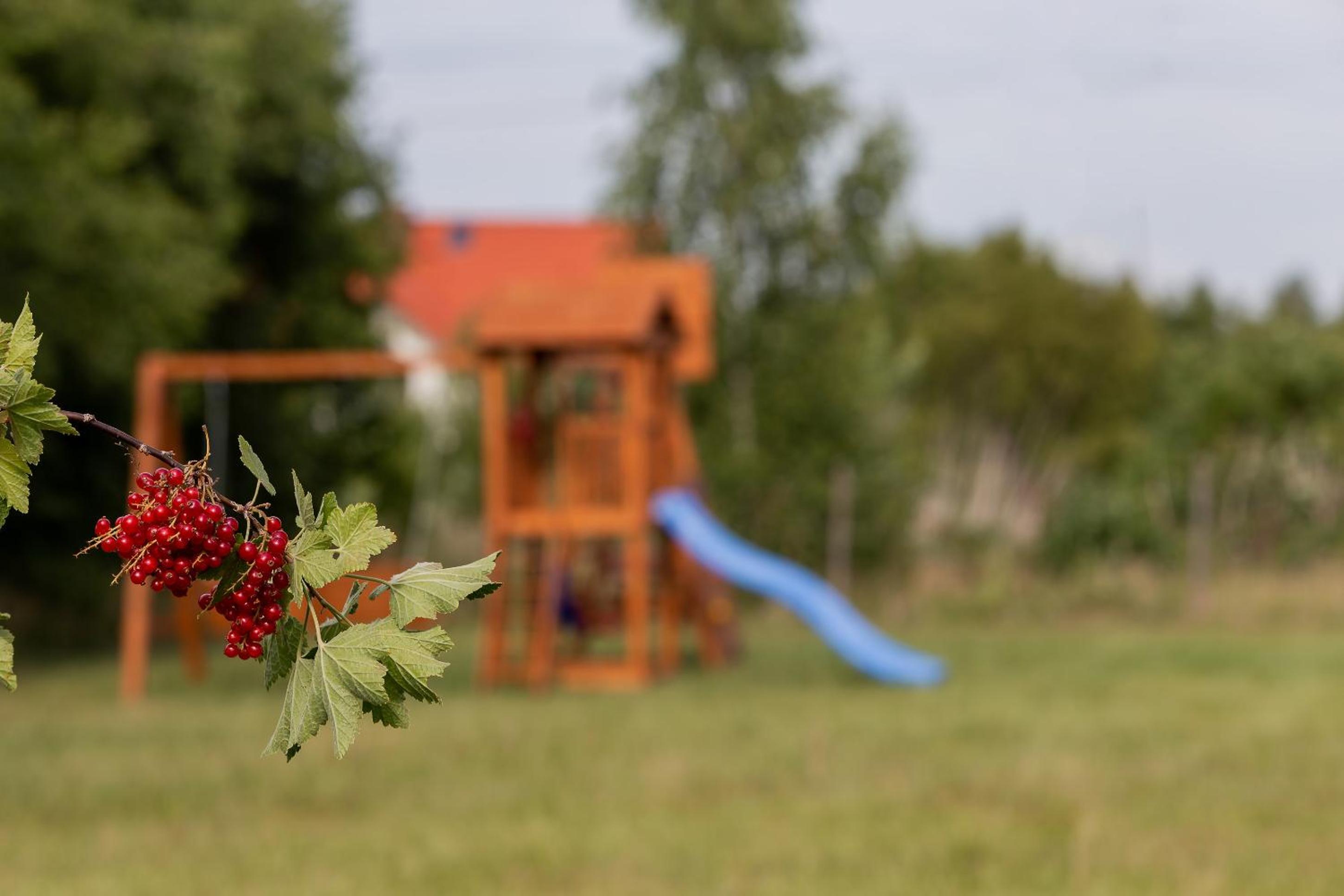 Holiday home with Terrace - Photo 59