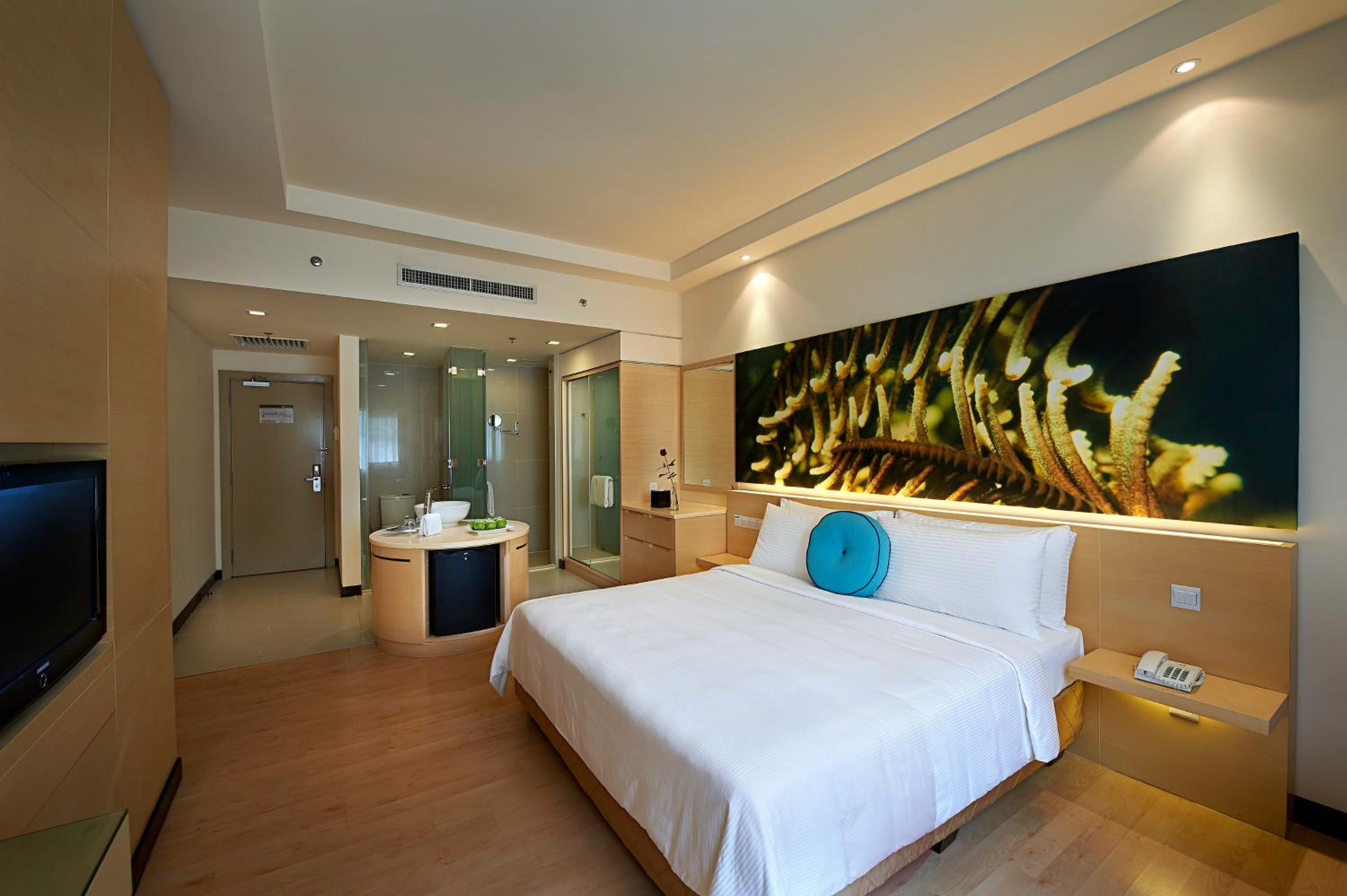 Deluxe Double or Twin Room photo 3