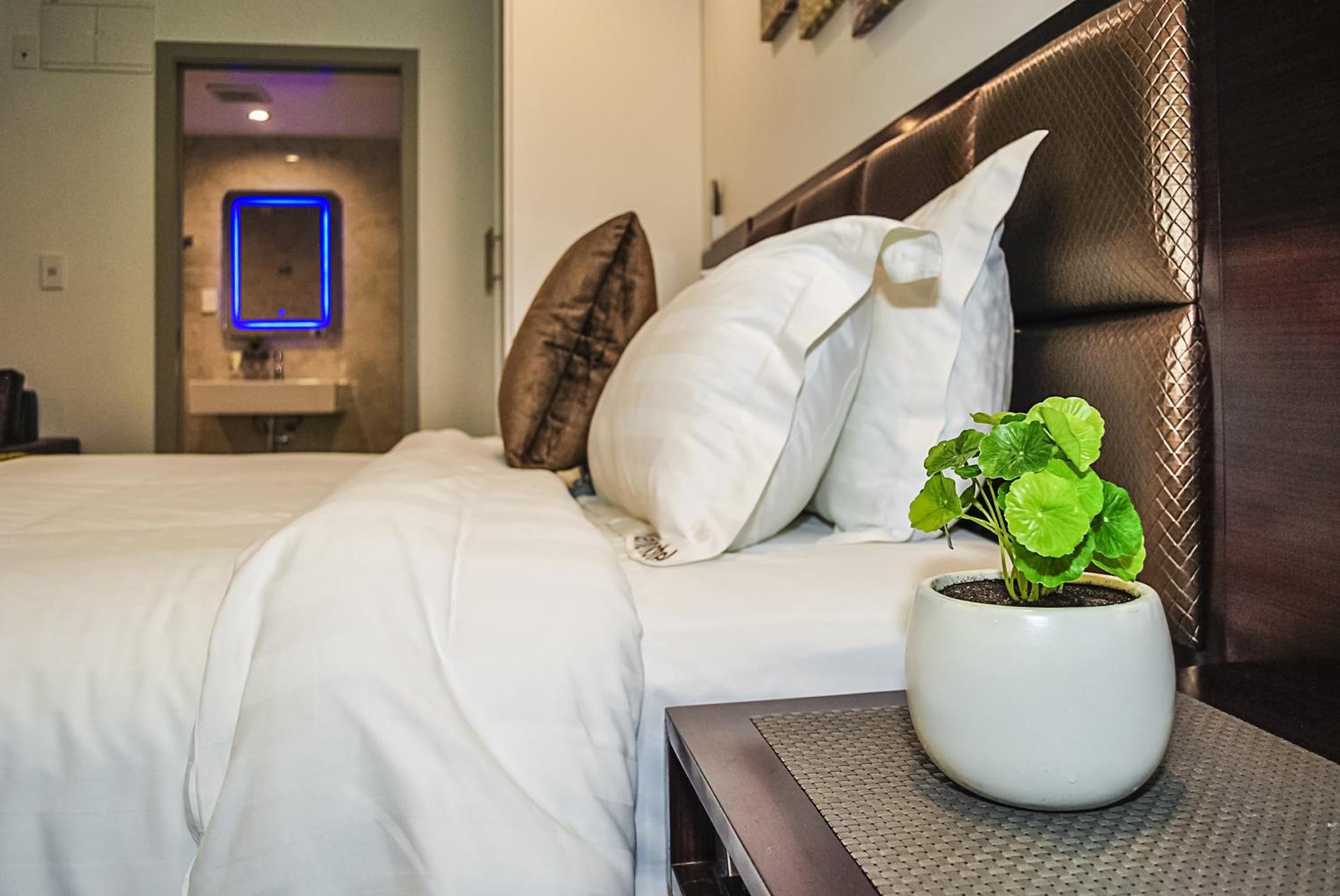 Premium Executive Studio with Bath photo 1