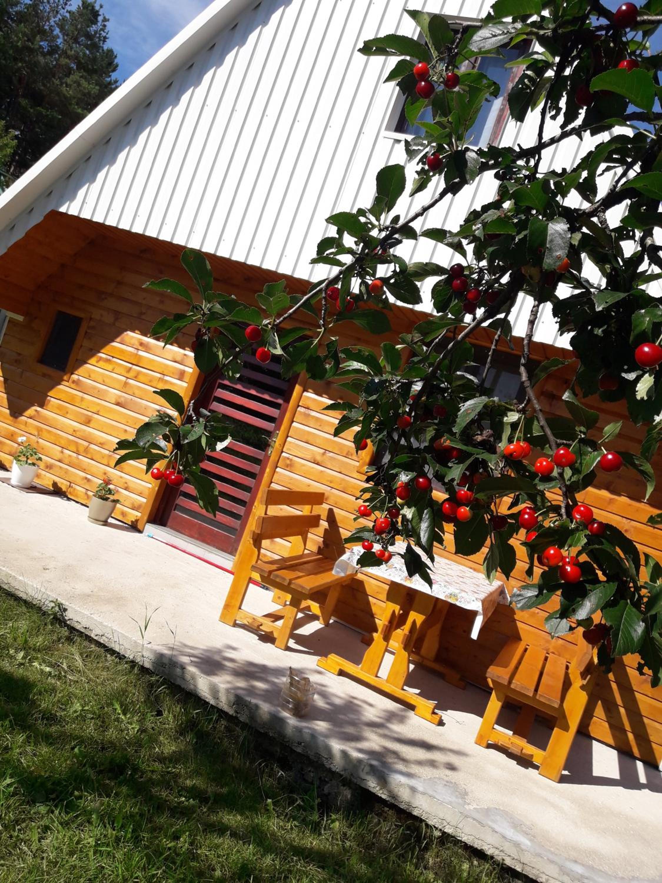 Vacation Home