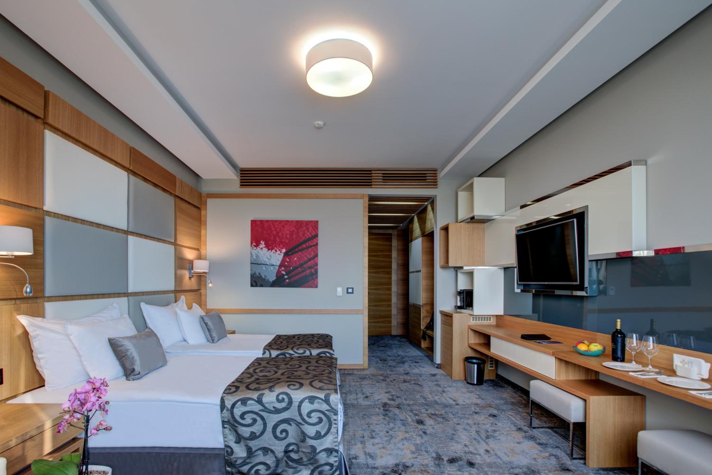 Deluxe Twin Room photo 3