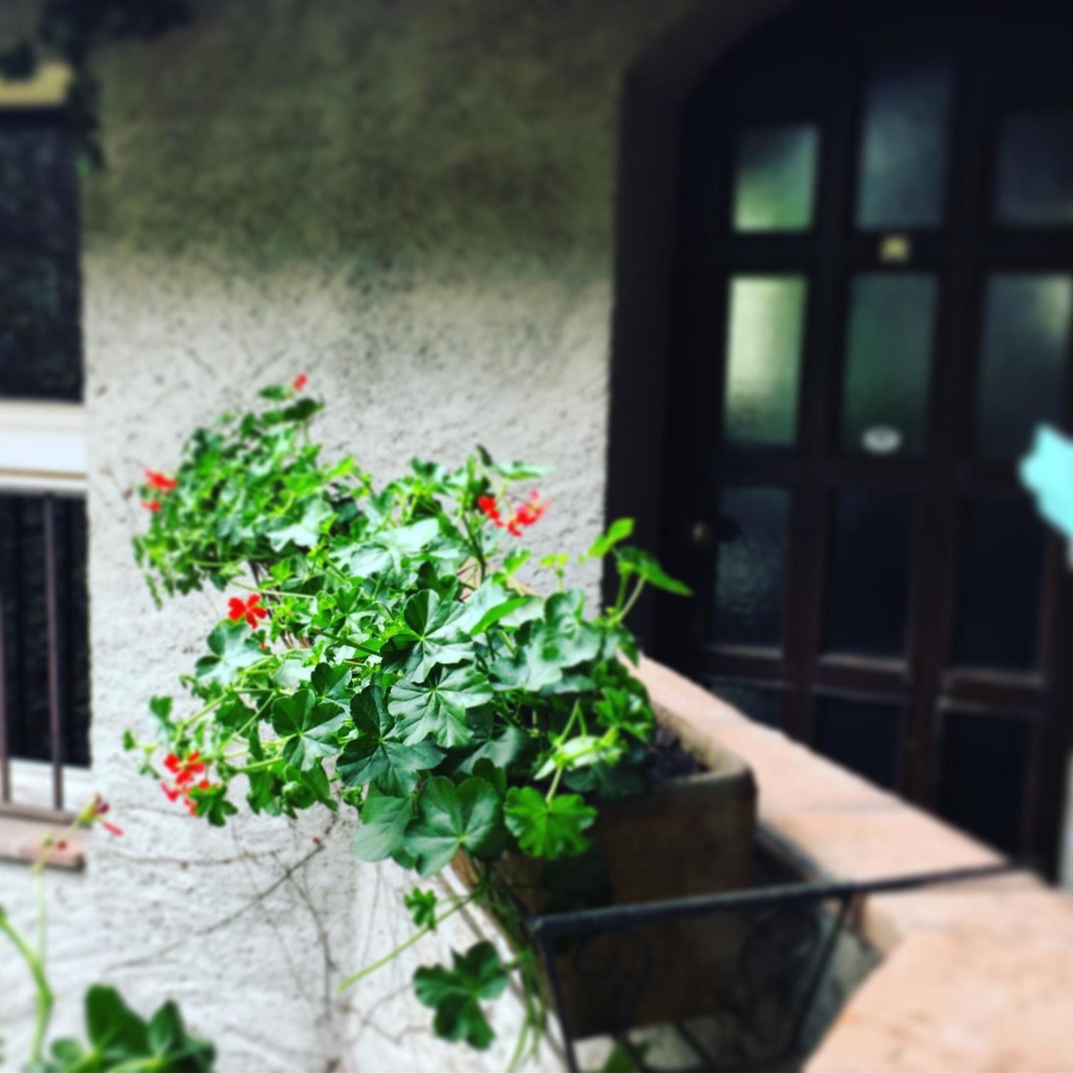 Vacation Home - Photo 4