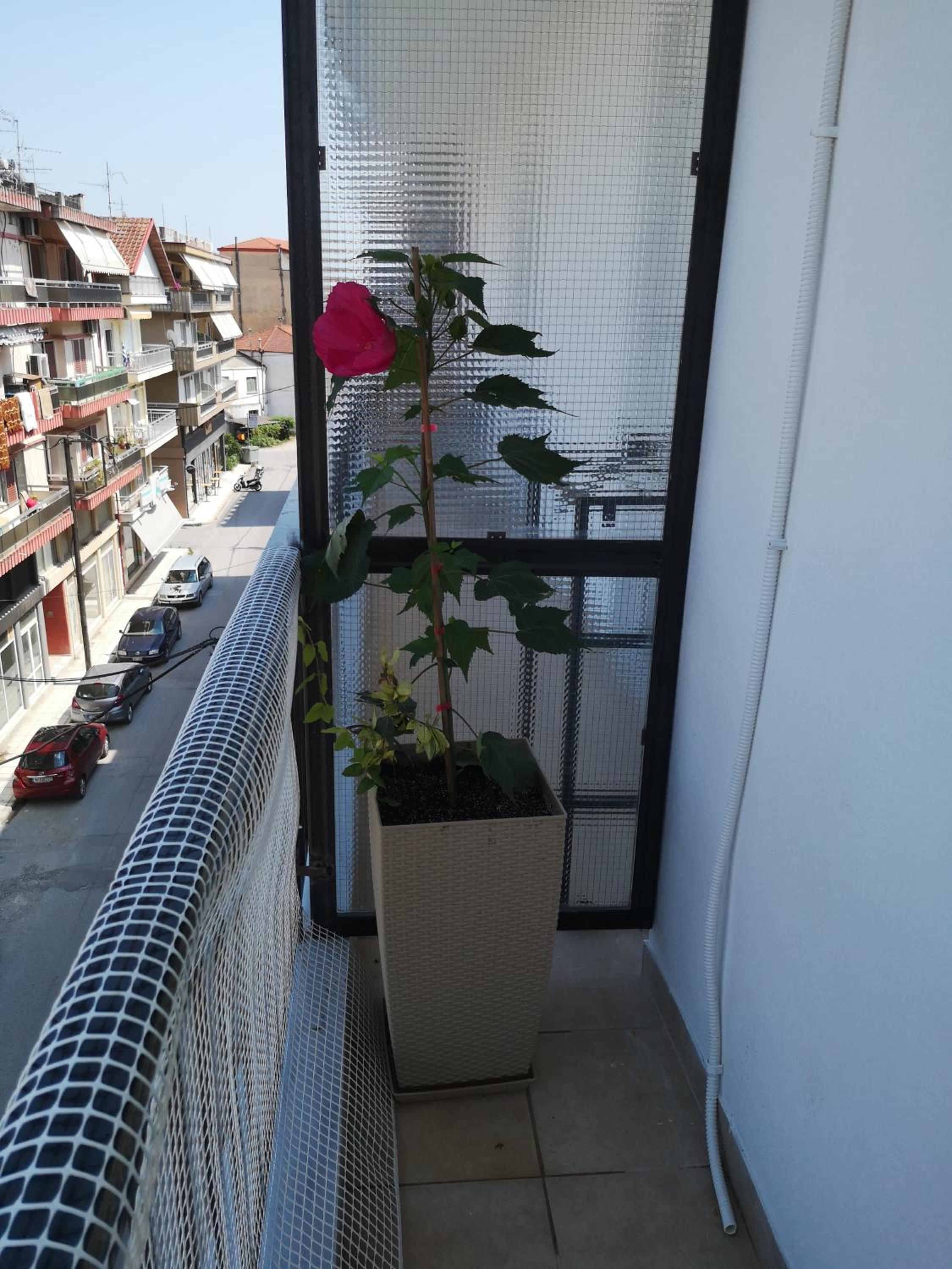 Apartment - Photo 18