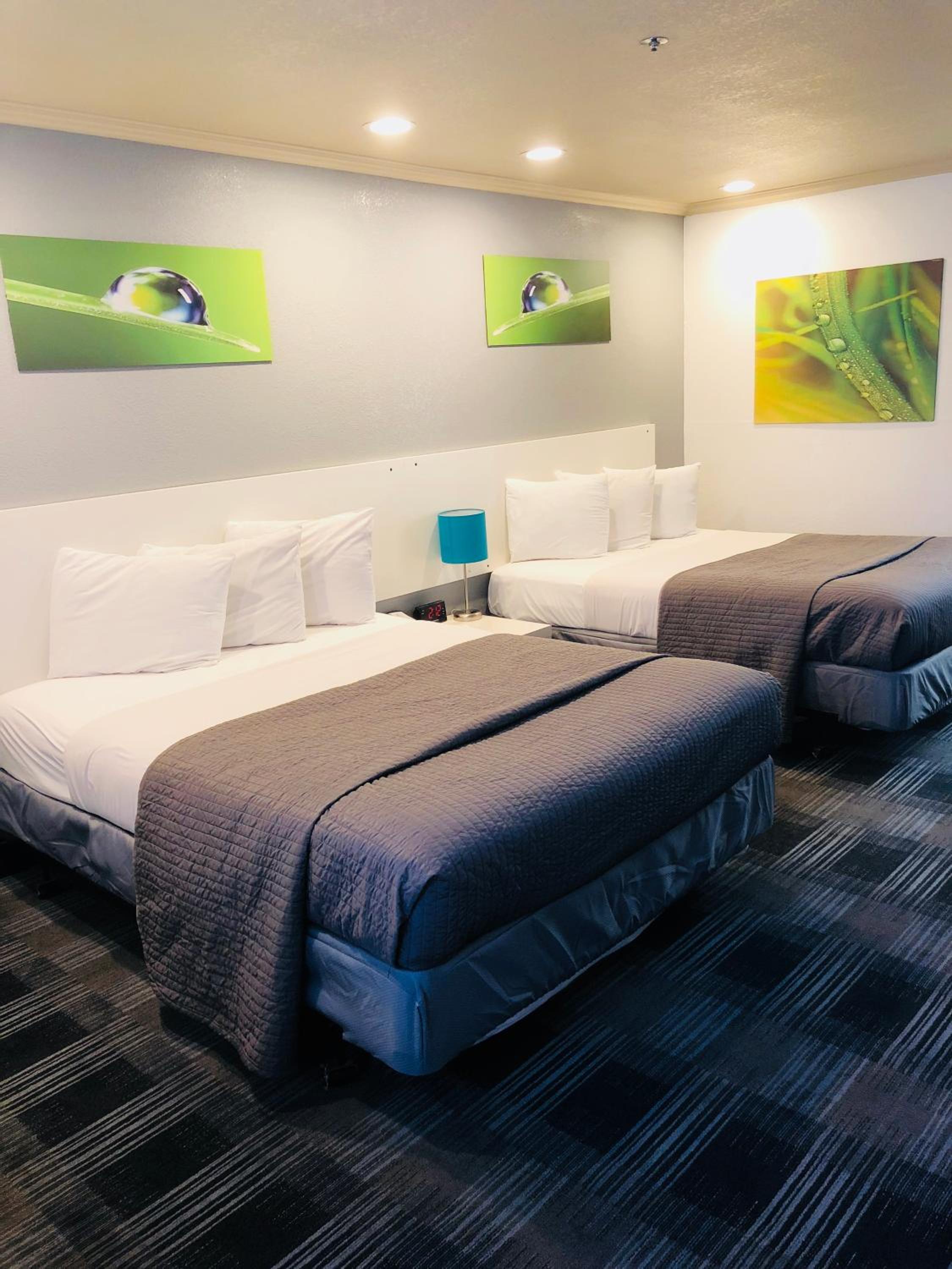 Queen Room with Two Queen Beds - Non-Smoking - Photo 6