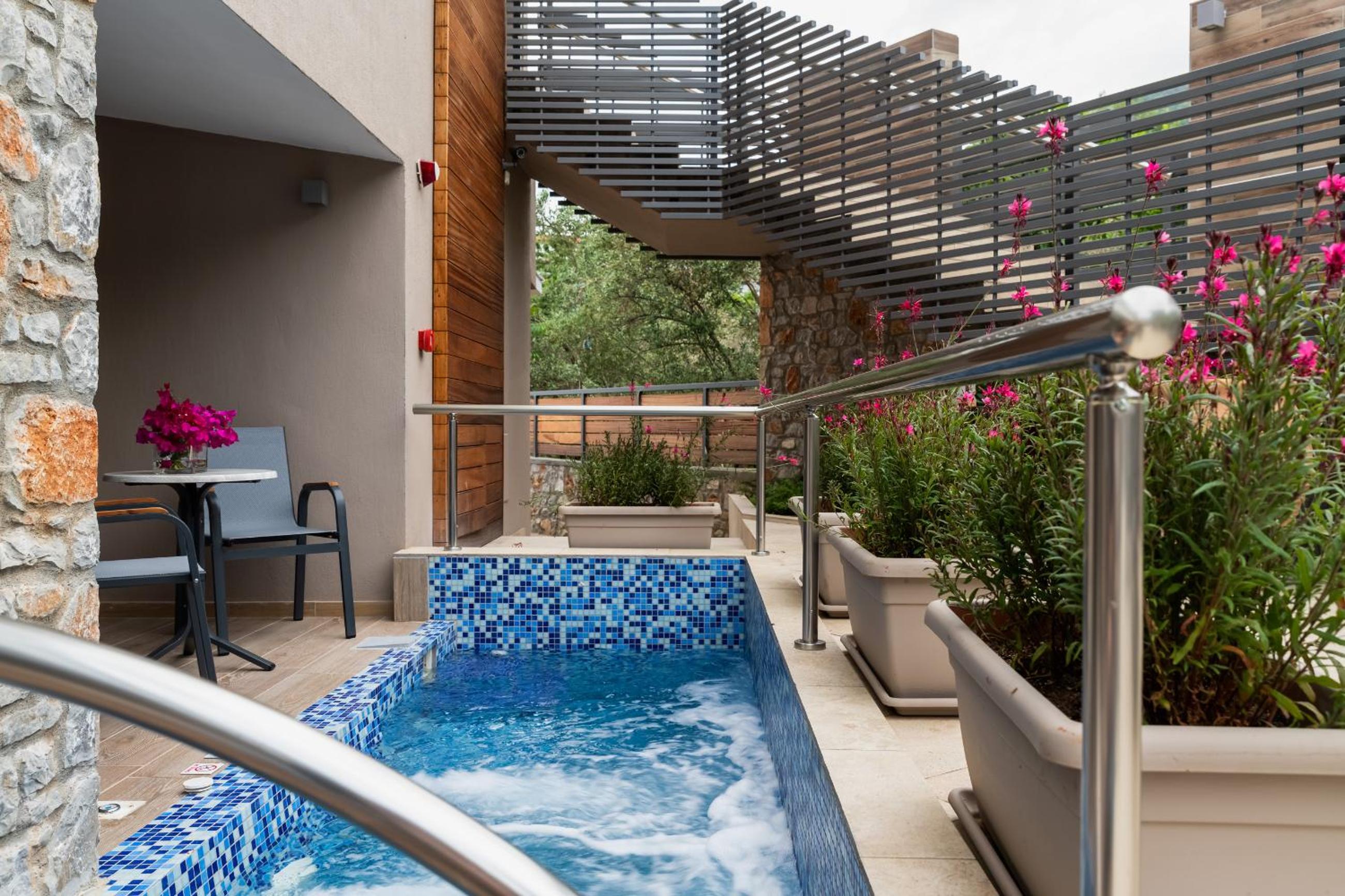Deluxe Double with Plunge Pool photo 3