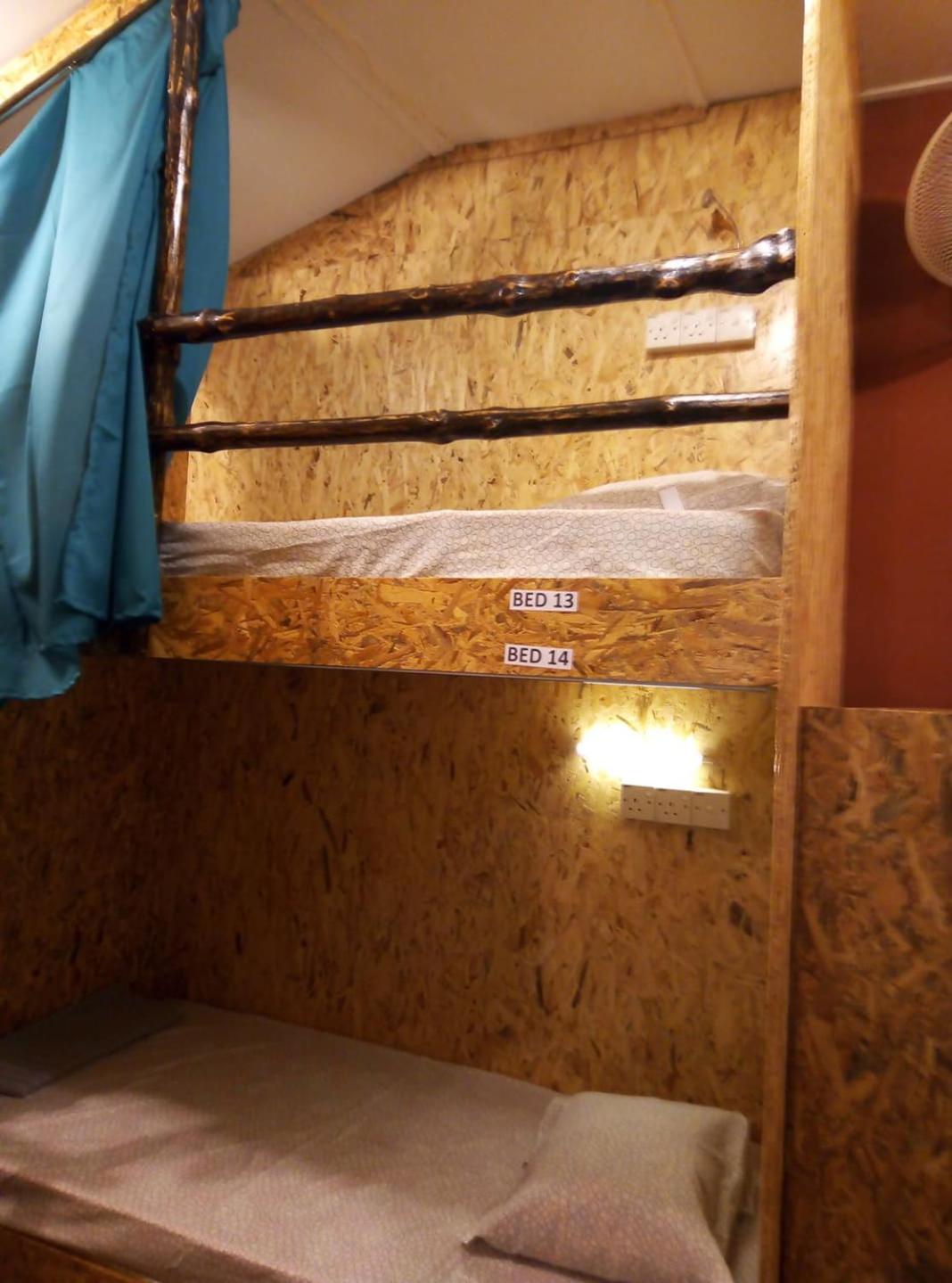 Bunk Bed in Mixed Dormitory Room photo 1