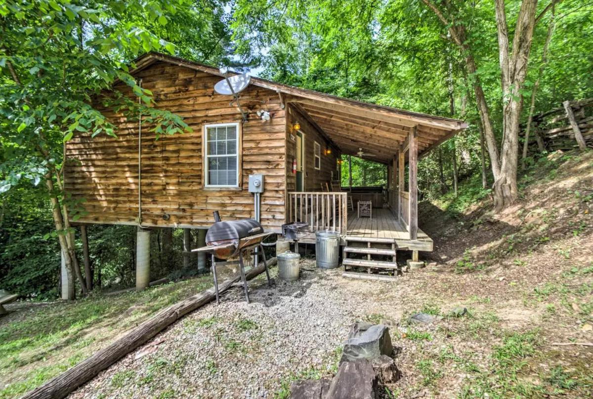 Cabin #6- Wolf Den photo 3