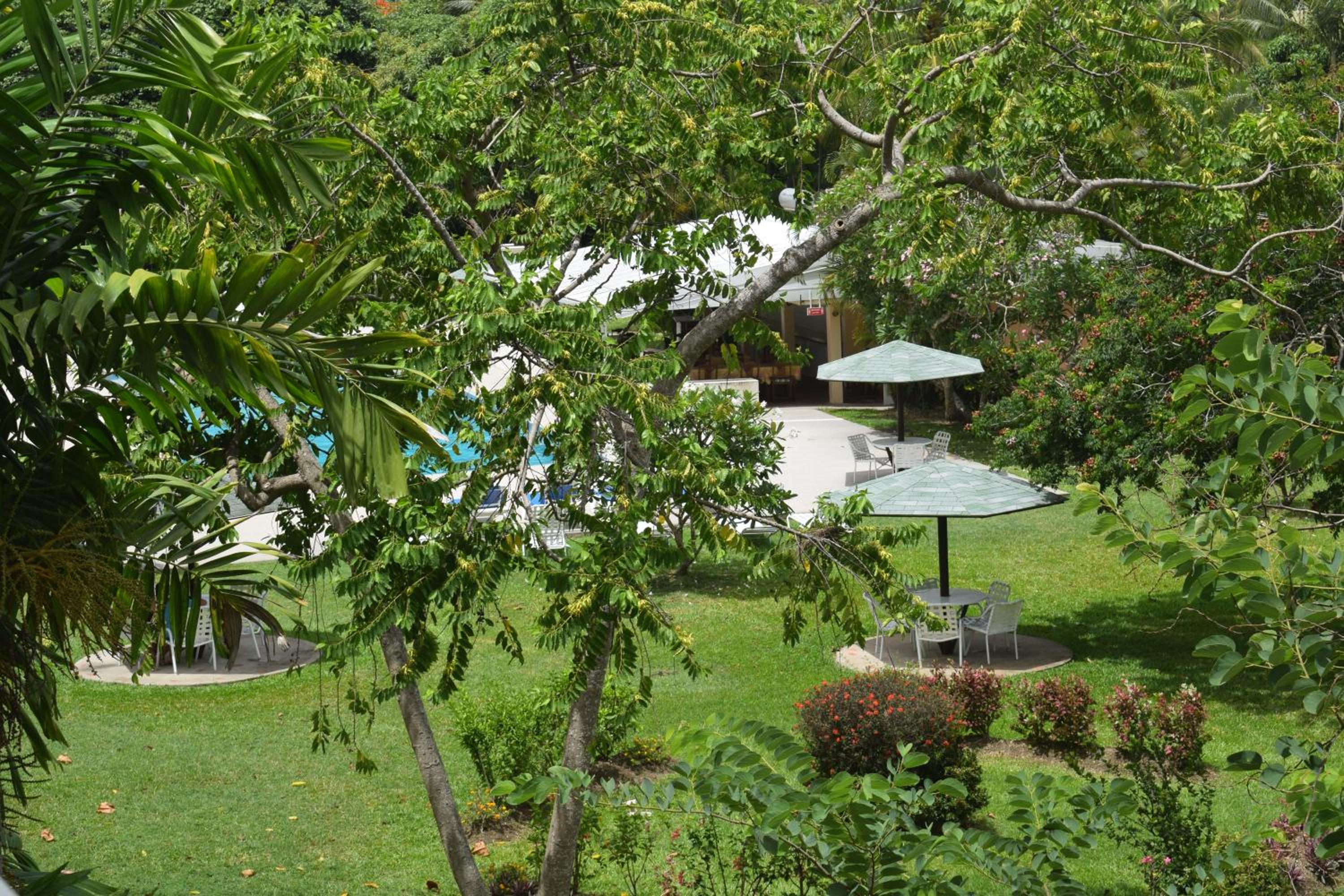 Apartment with Balcony photo 2