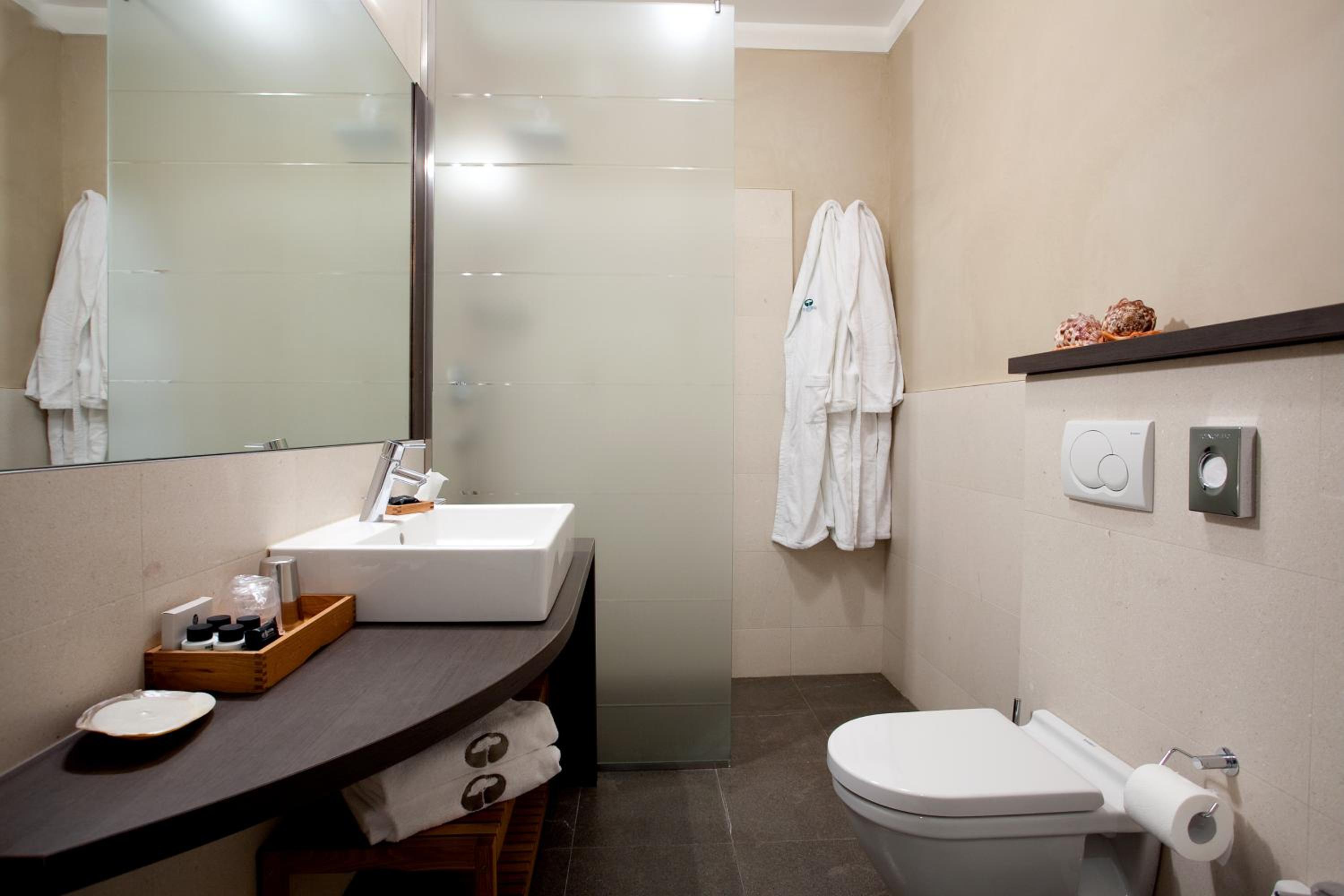Deluxe Room - Photo 4