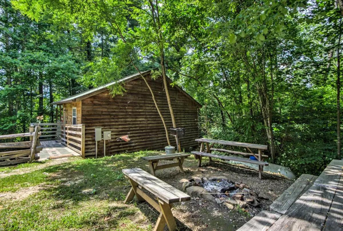 Cabin #5- Gone Biking photo 2