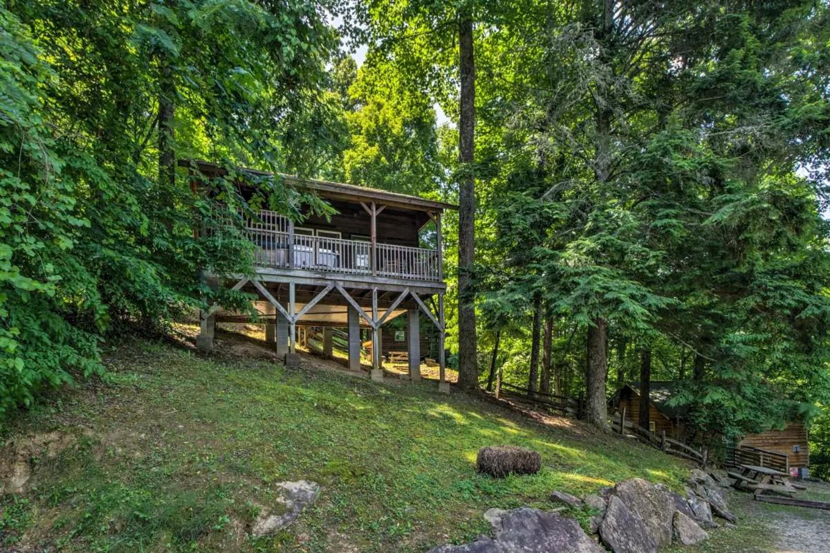Cabin #2- Gone Hiking photo 2