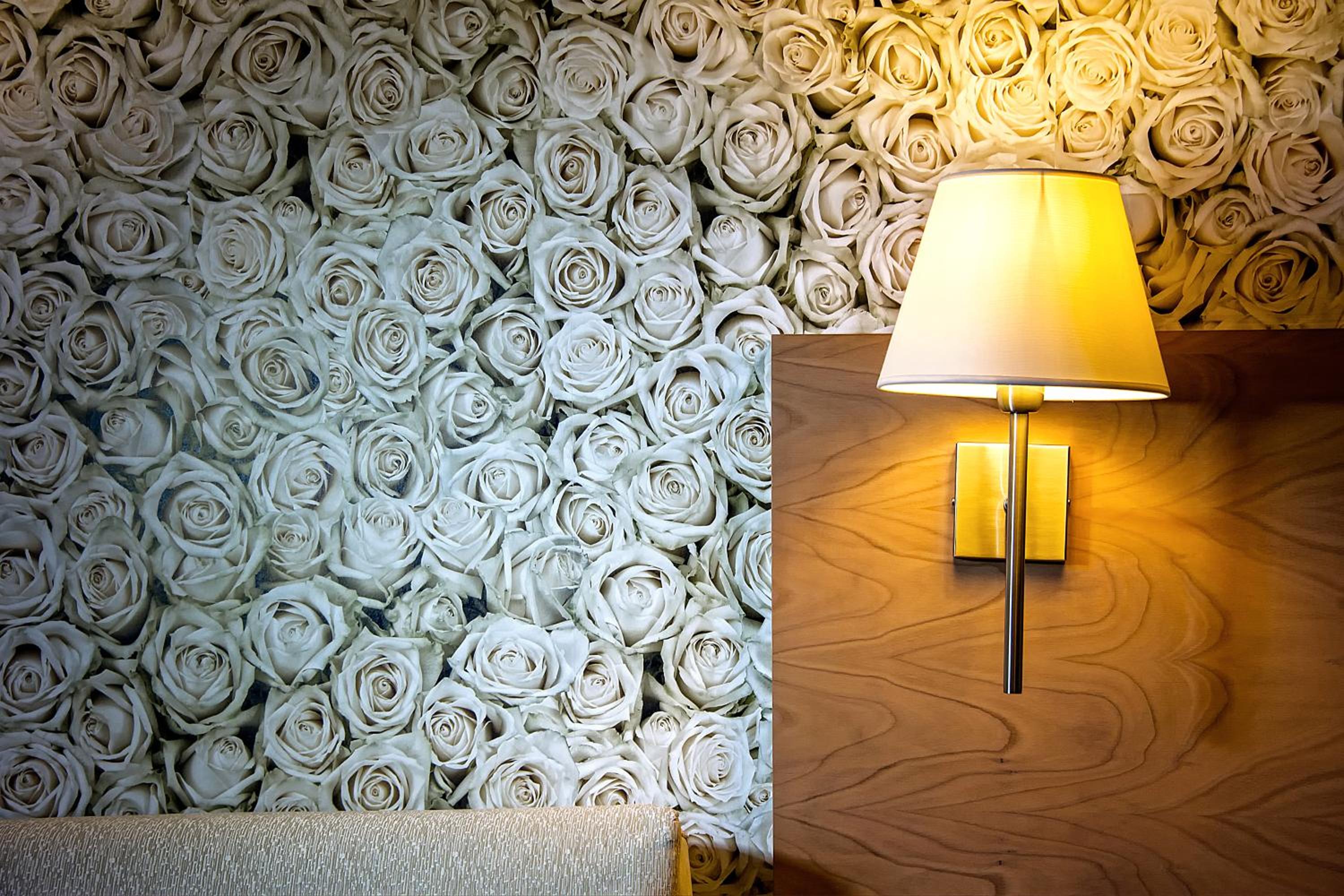 Junior Suite photo 1