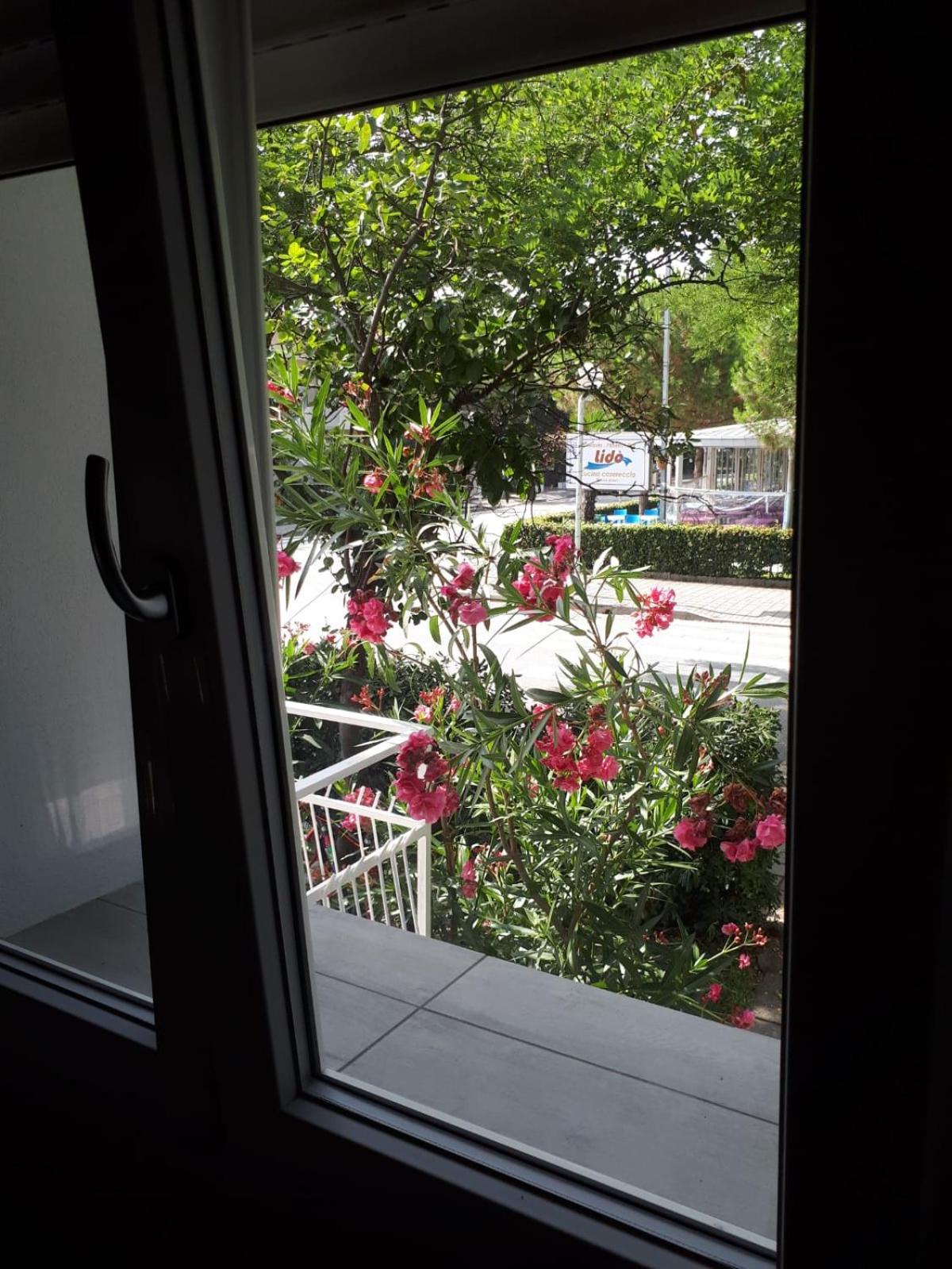 Triple Room - Photo 7