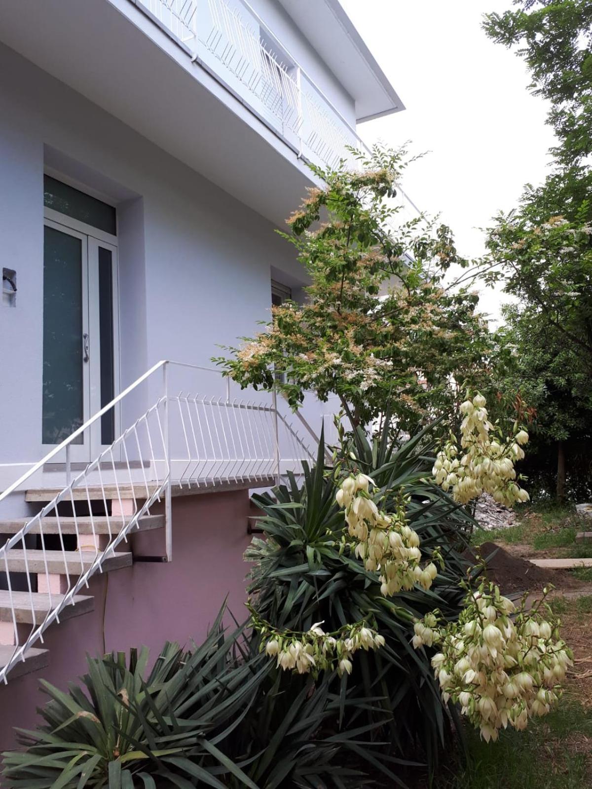 Triple Room - Photo 10