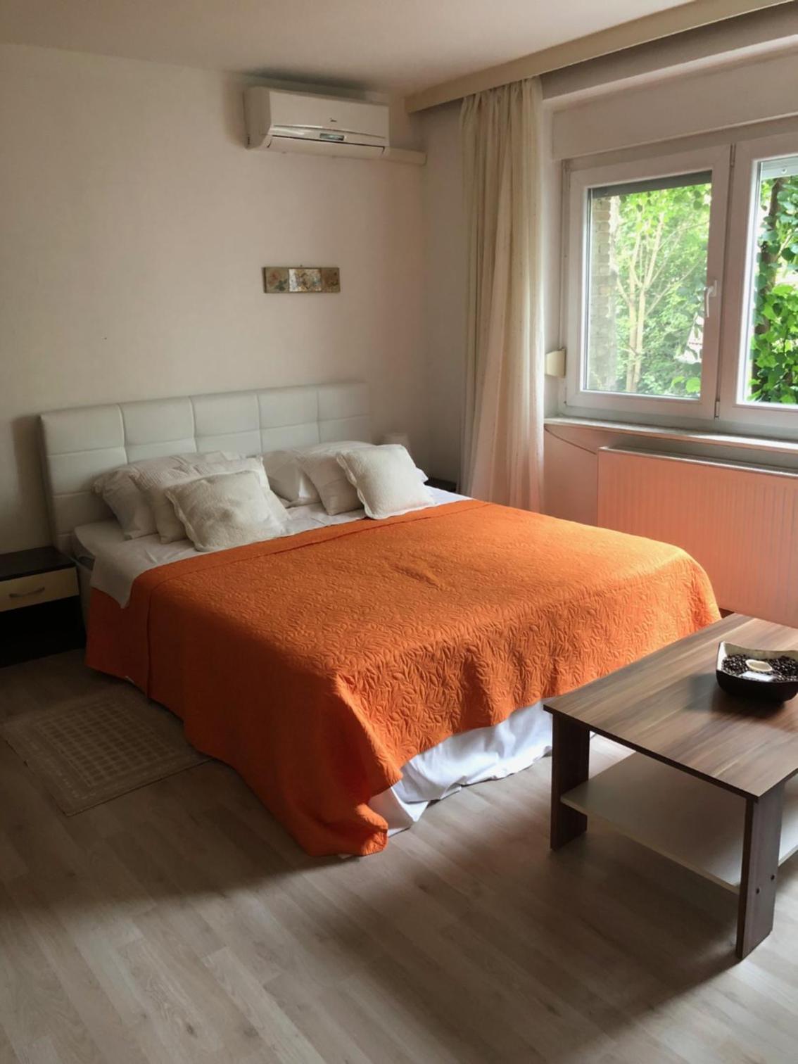 Standard Apartment-  2a Petrova Street - Photo 16