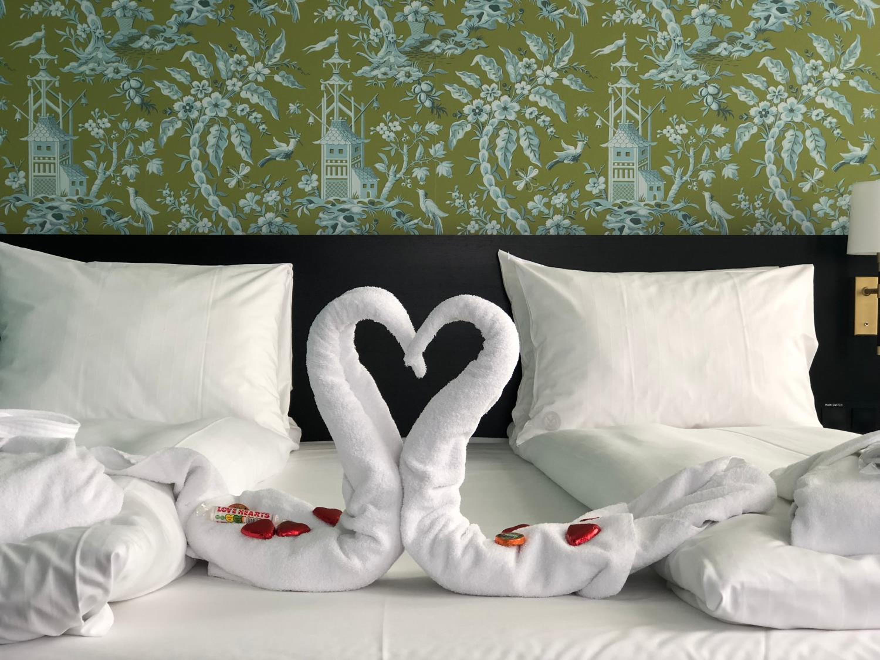 Suite - Photo 3
