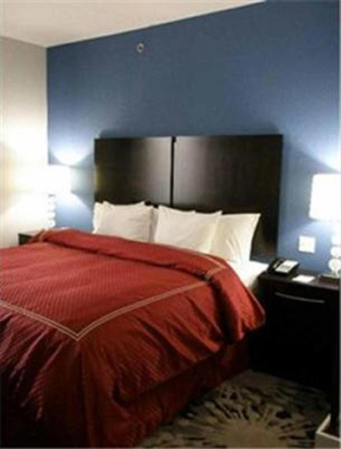 King Suite with Sofa Bed - Non-Smoking photo 1