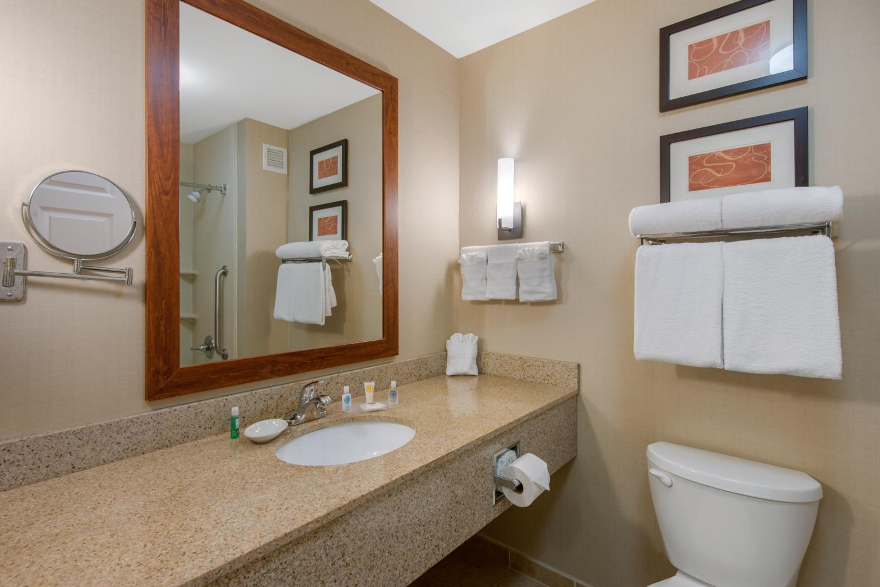 King Suite - Non-Smoking photo 2