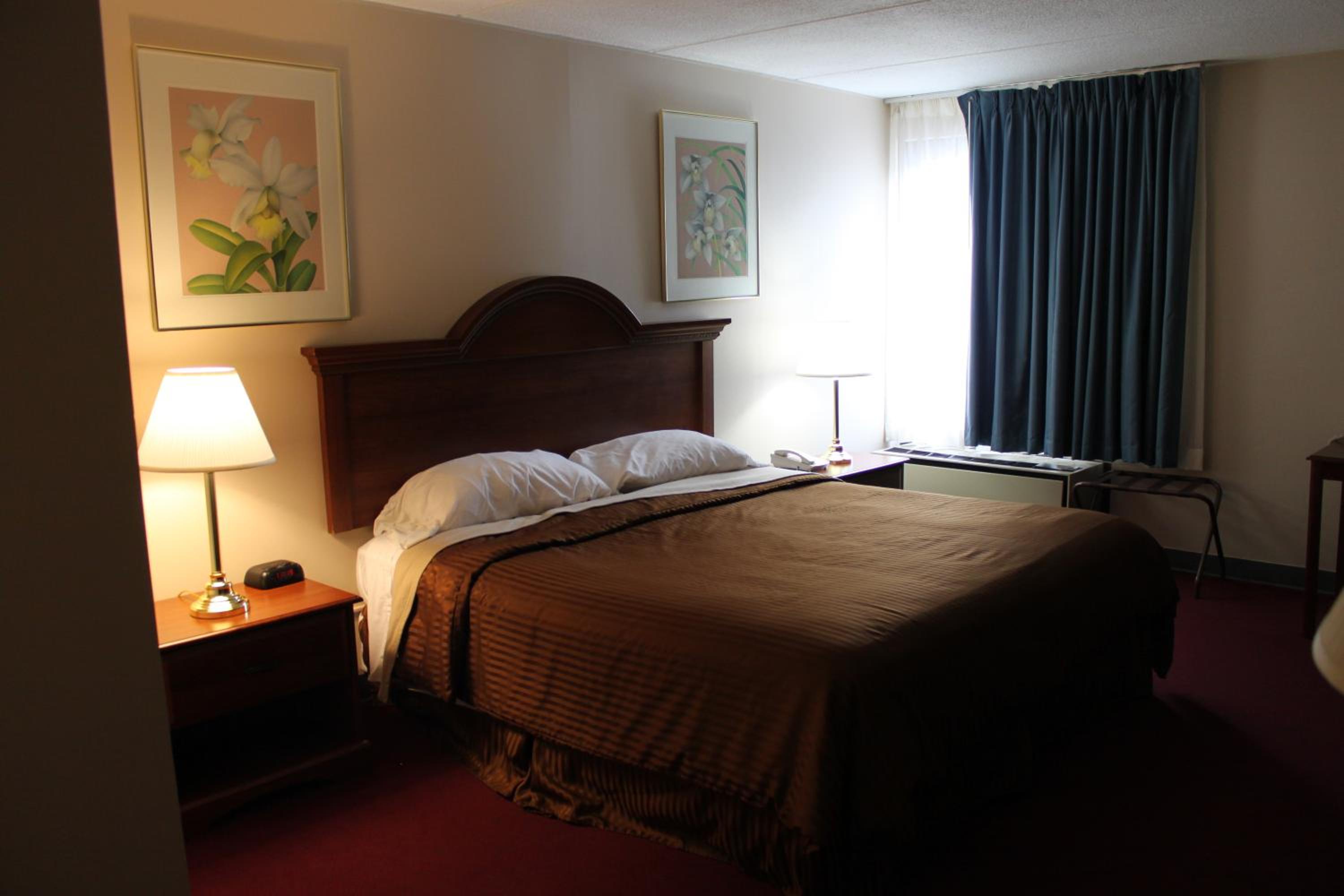 King Room - Non-Smoking - Photo 1