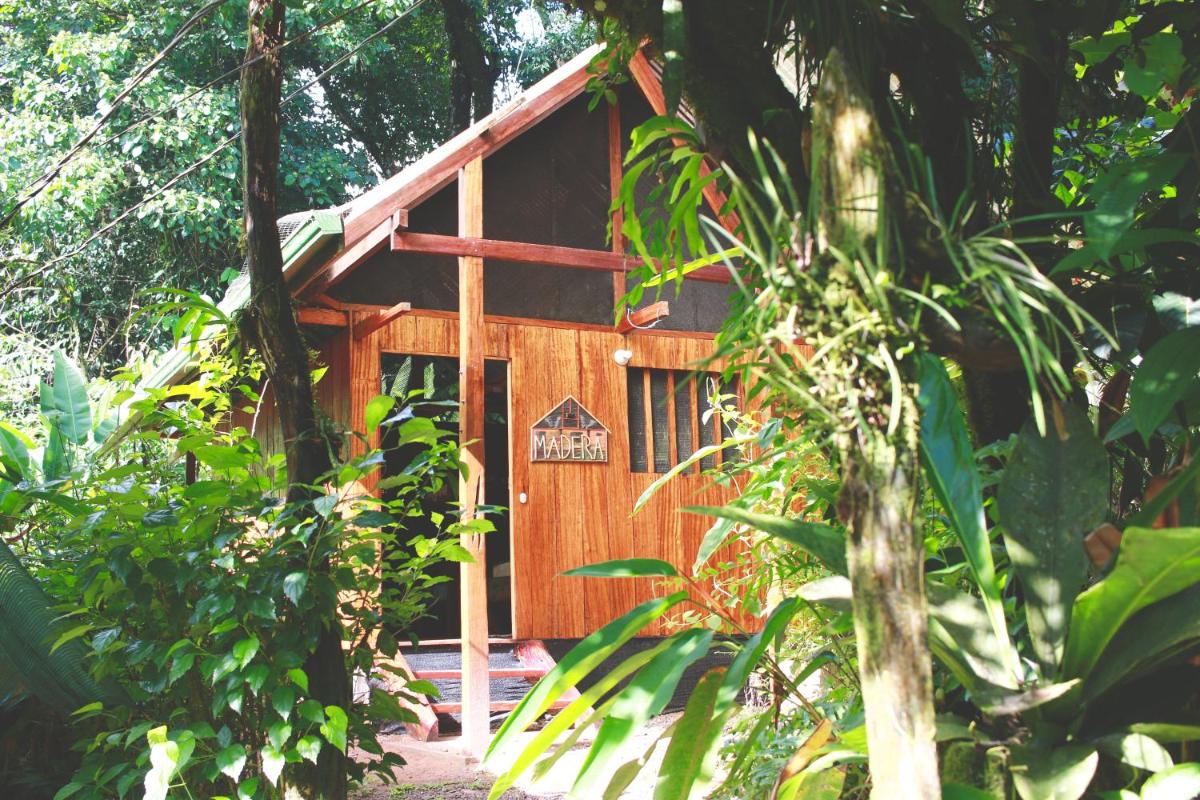 Family Bungalow photo 2