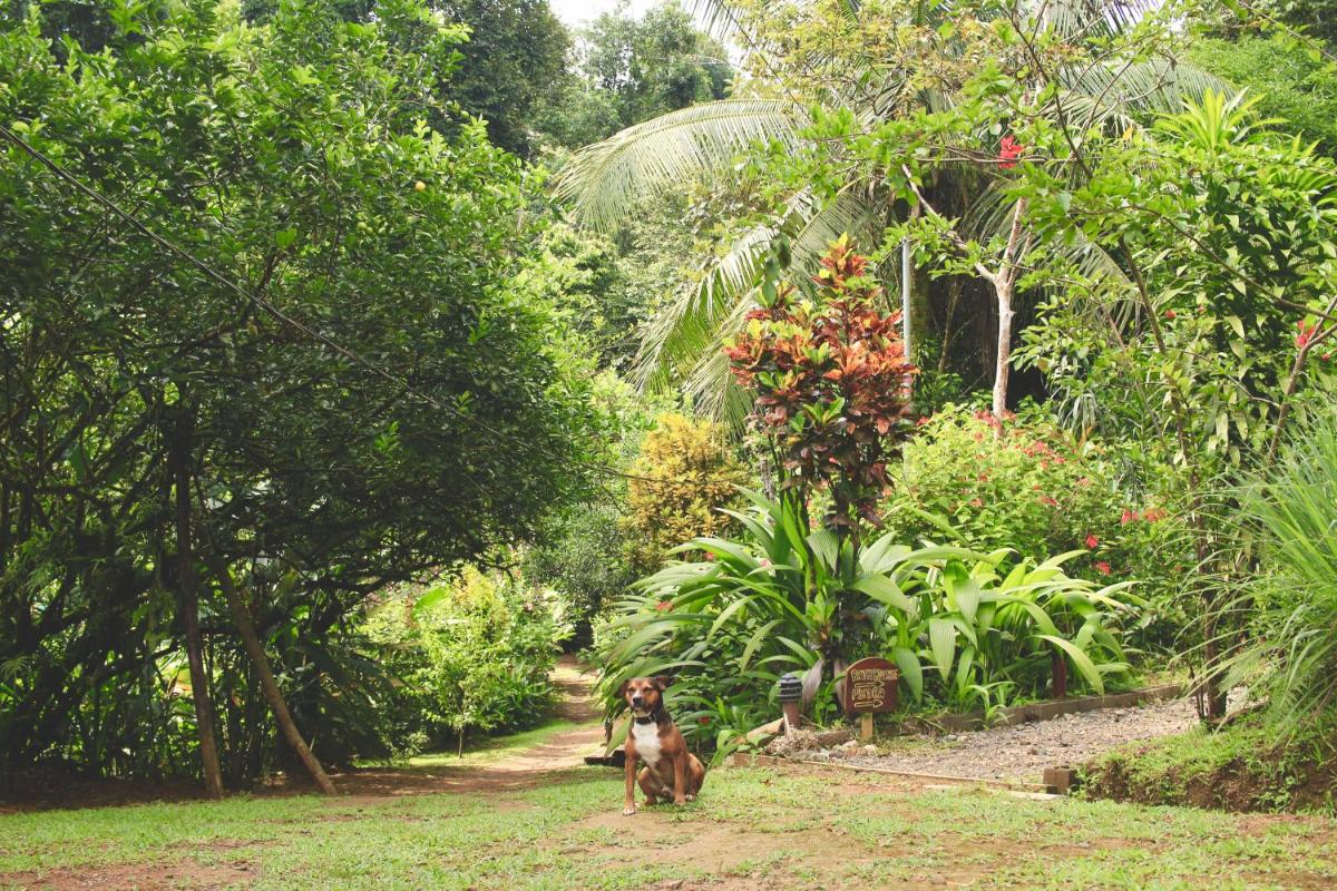 Family Bungalow photo 1