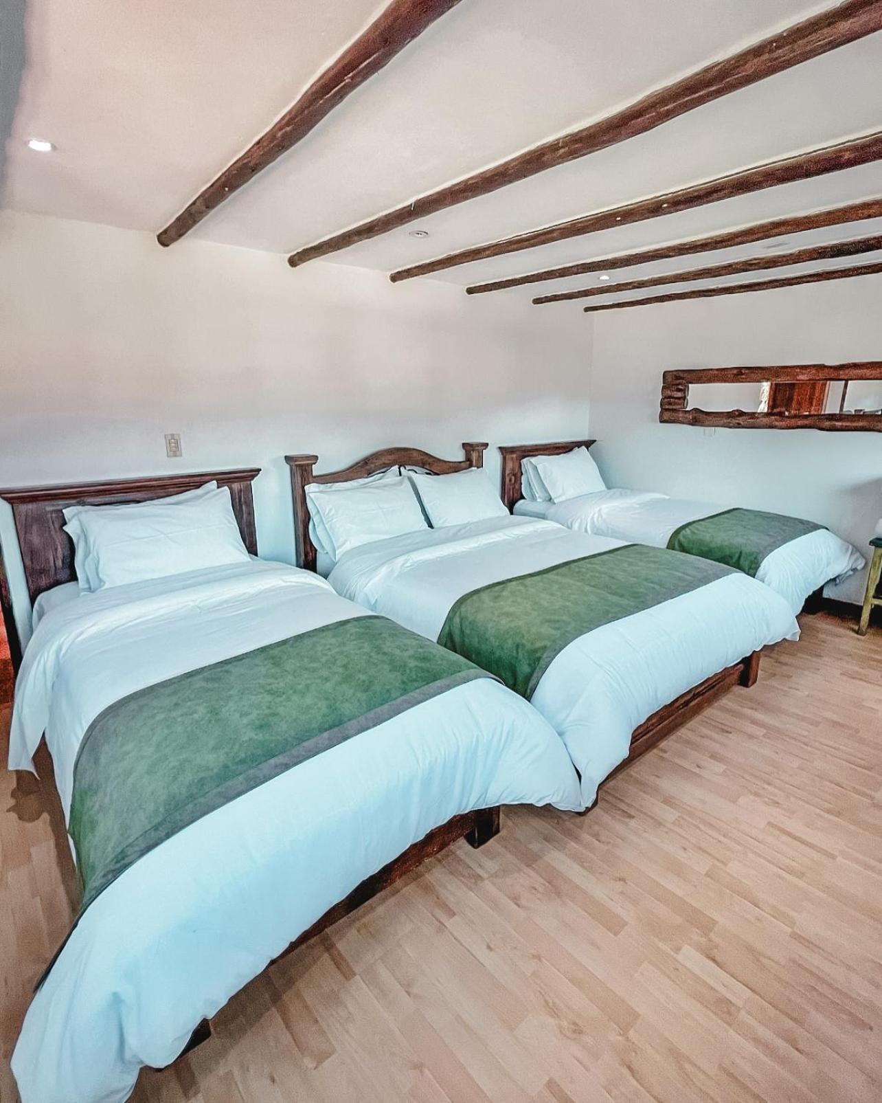 Standard Quadruple Room photo 1