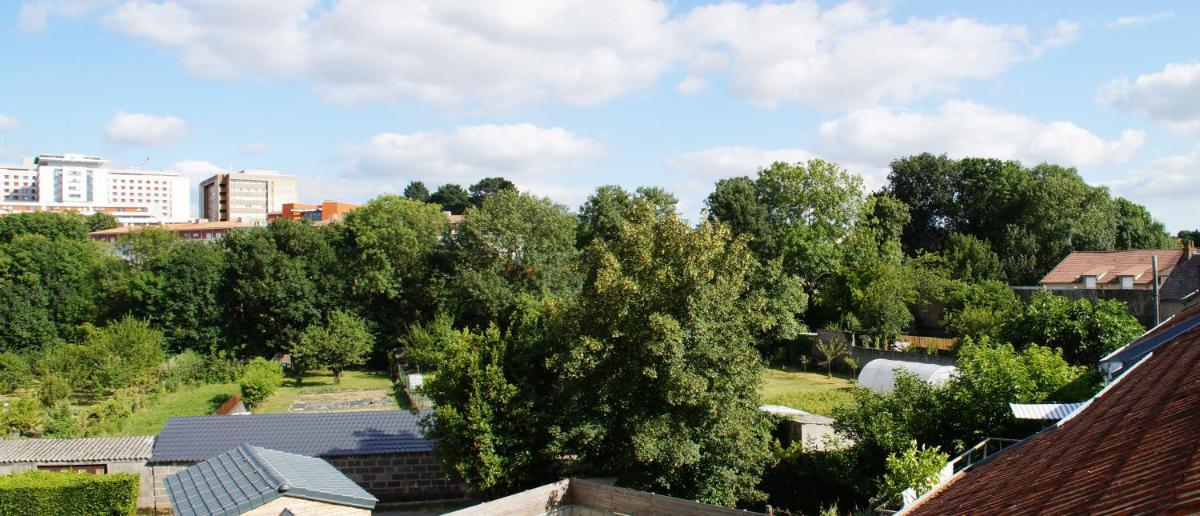 Studio with Garden View - Photo 12