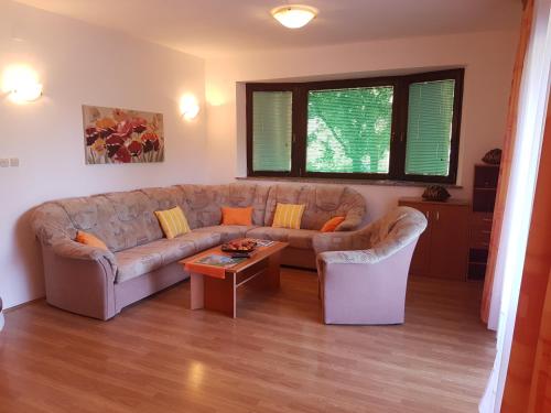 Apartment with Terrace photo 2