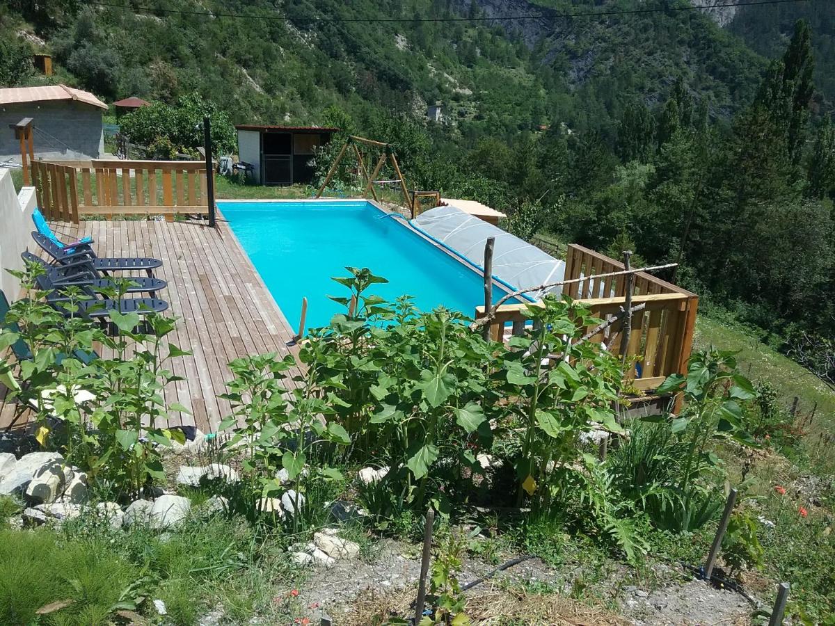 Double Room with Garden View photo 1