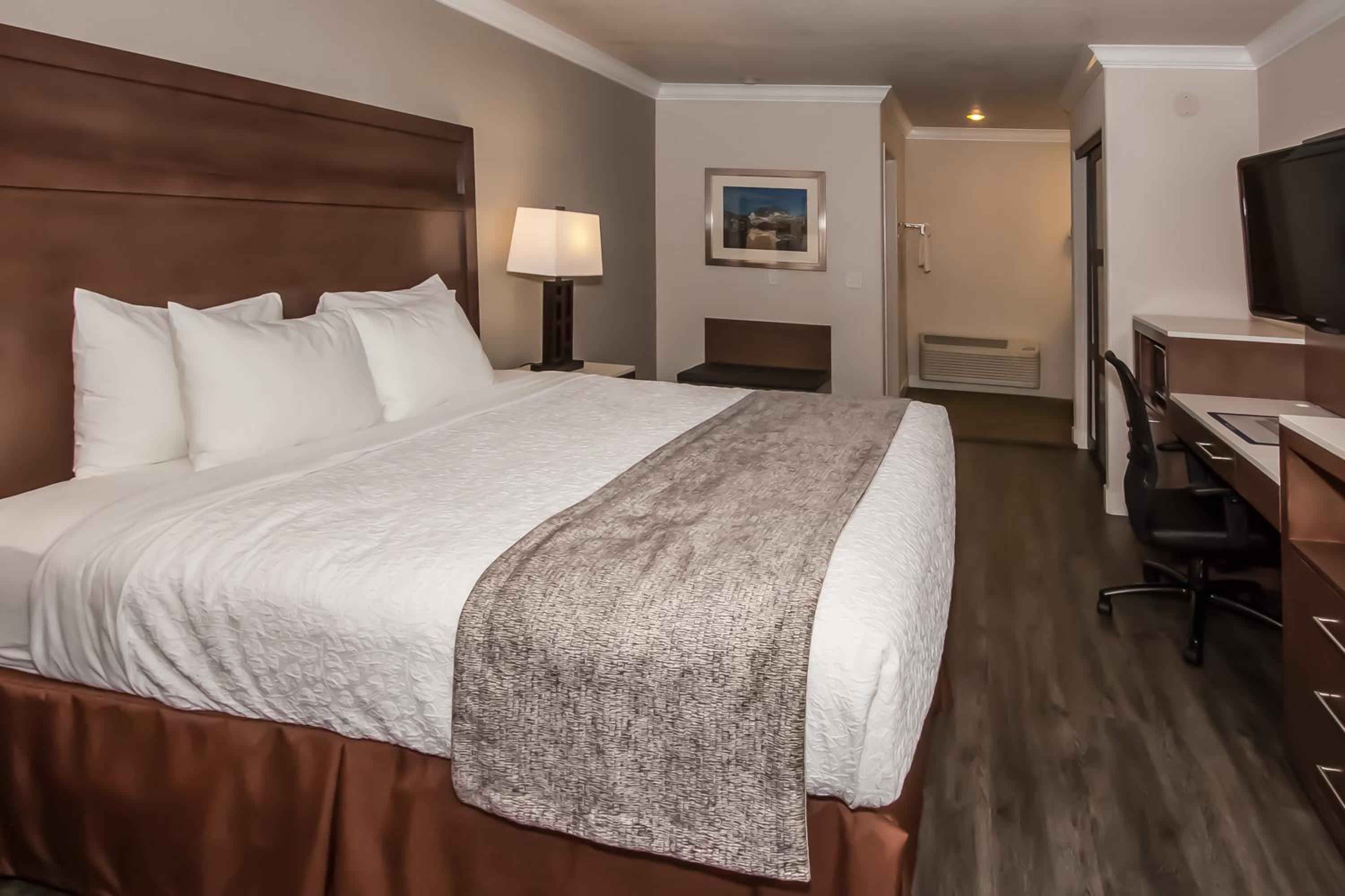 King Room - Disability Access photo 1