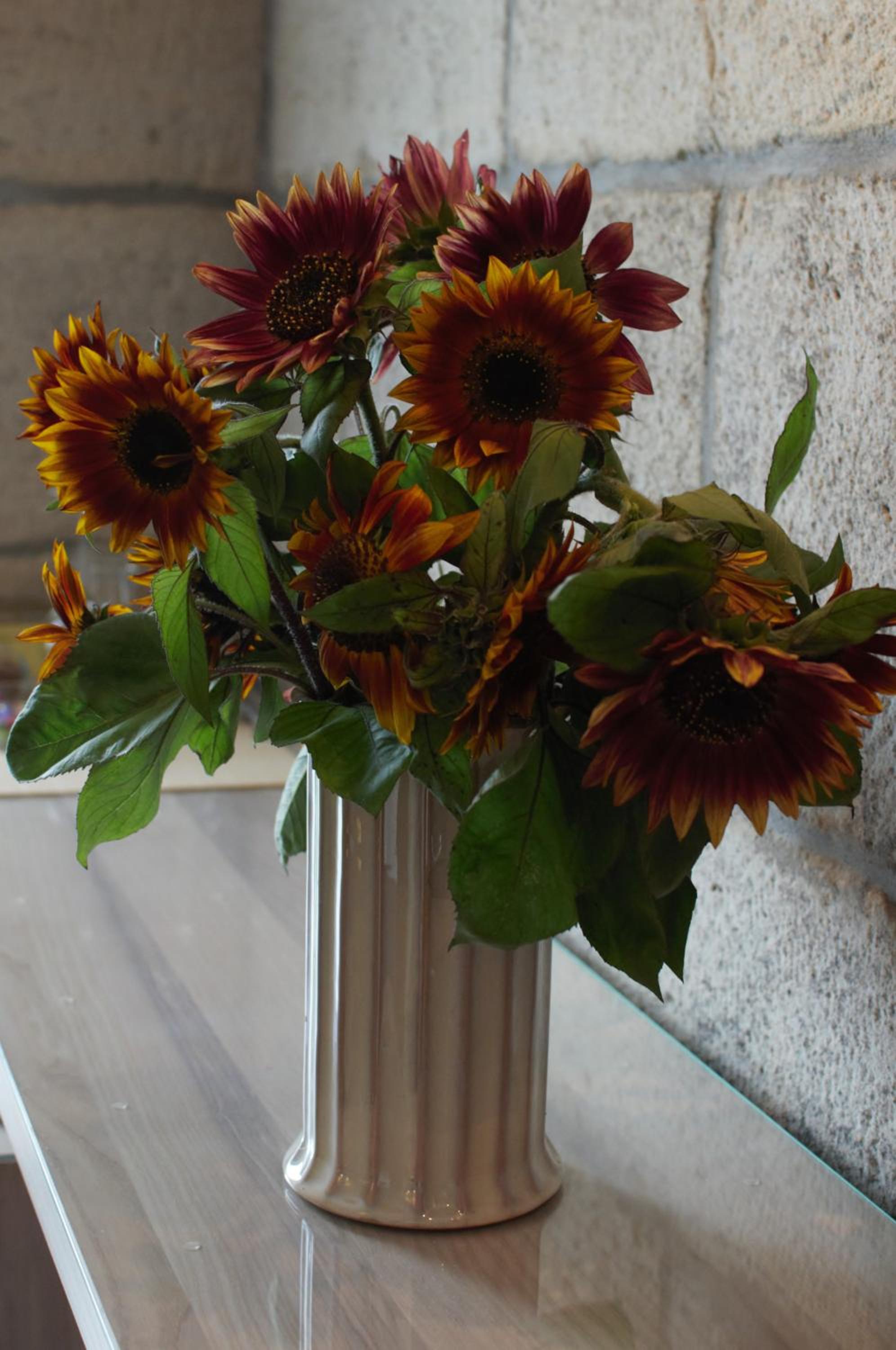 Apartment (3) - Photo 8