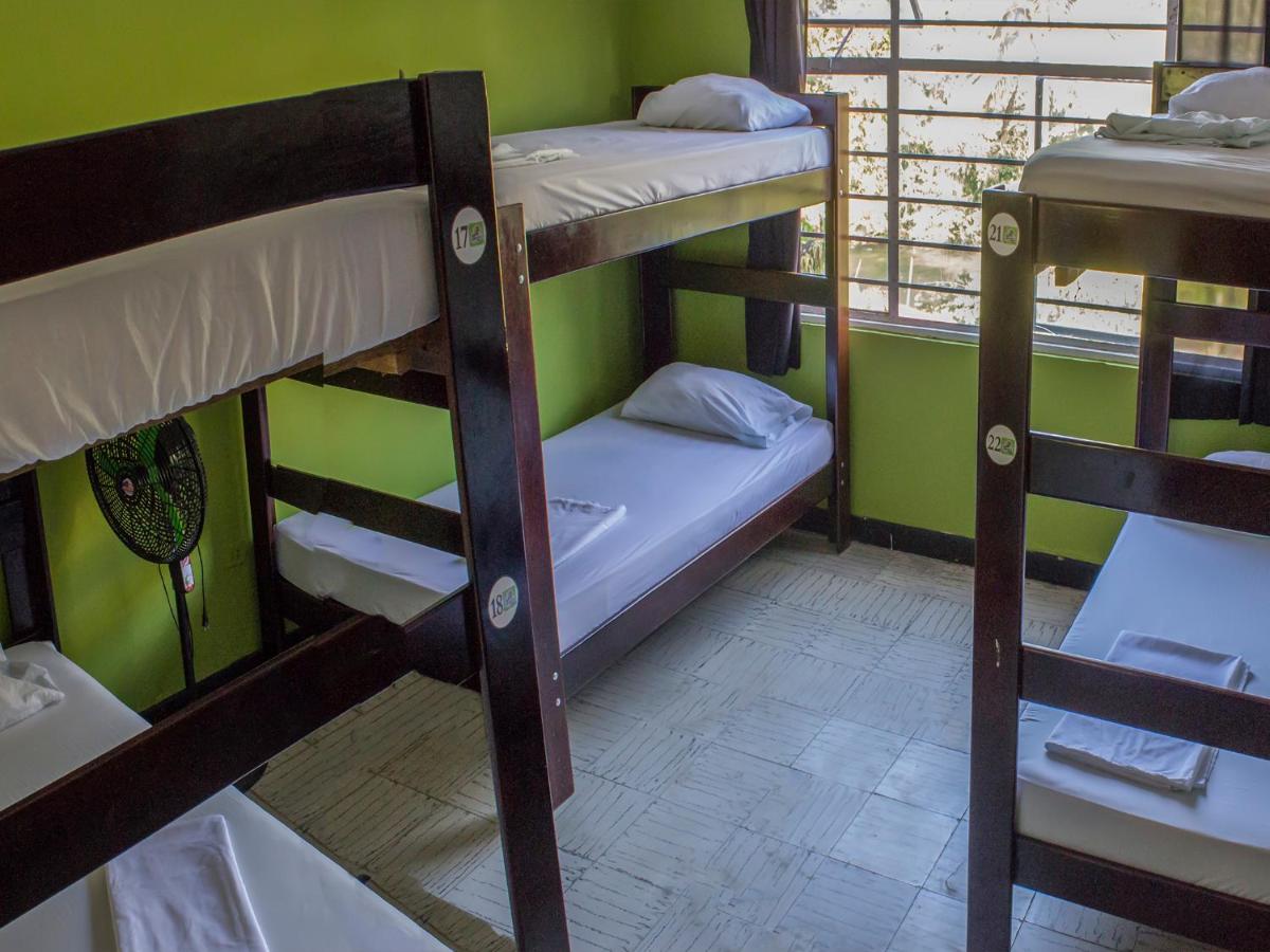 Bed in 6-Bed Dormitory Room photo 3